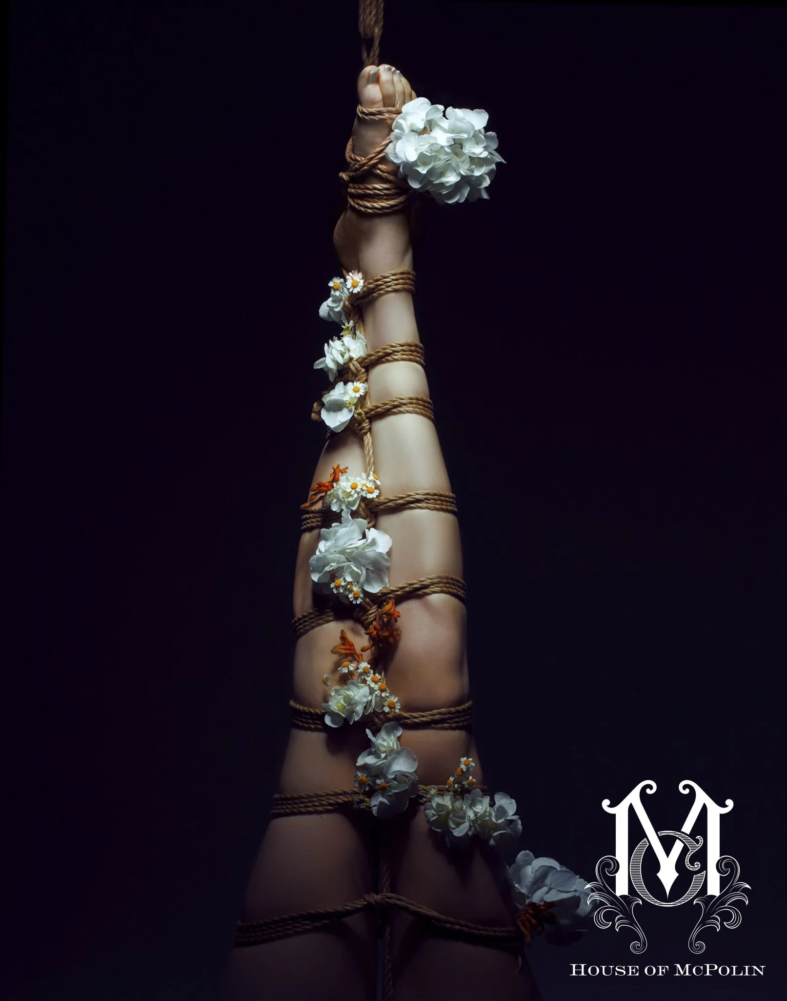 A Tender Dissolution_Paul kabzinski_BloomTribe_haylee cee_aaron mcpolin23.JPG