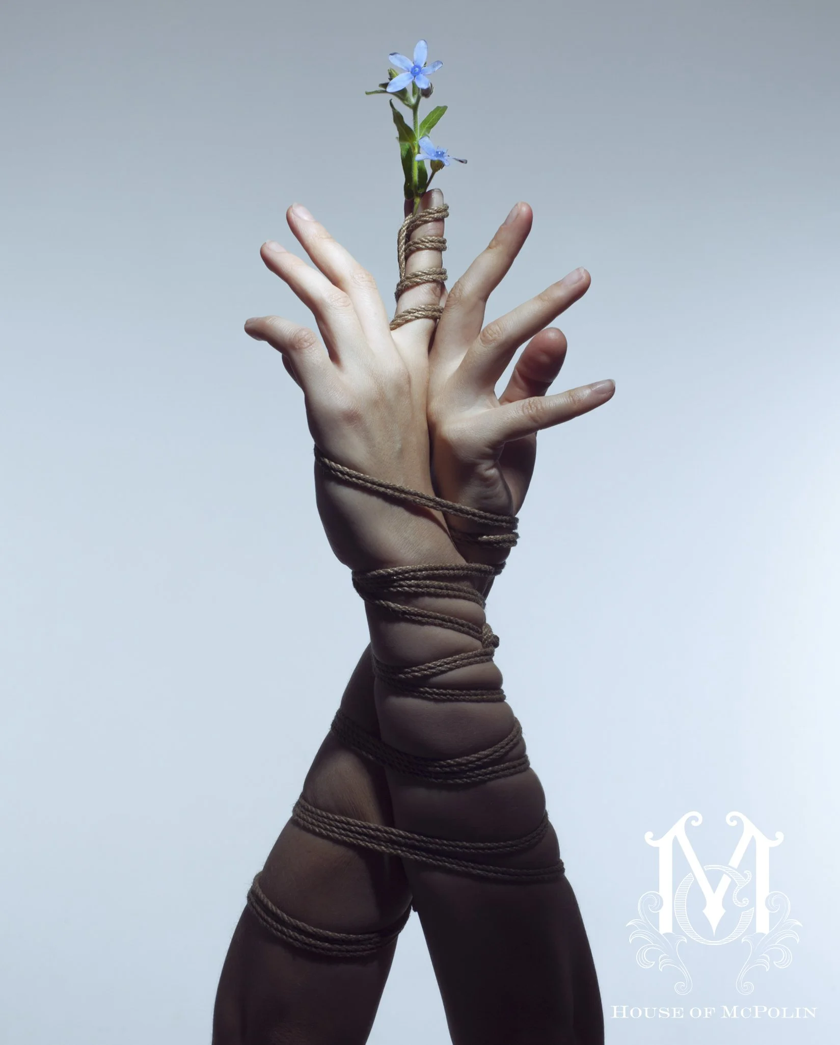 A Tender Dissolution_Paul kabzinski_BloomTribe_haylee cee_aaron mcpolin9.JPG