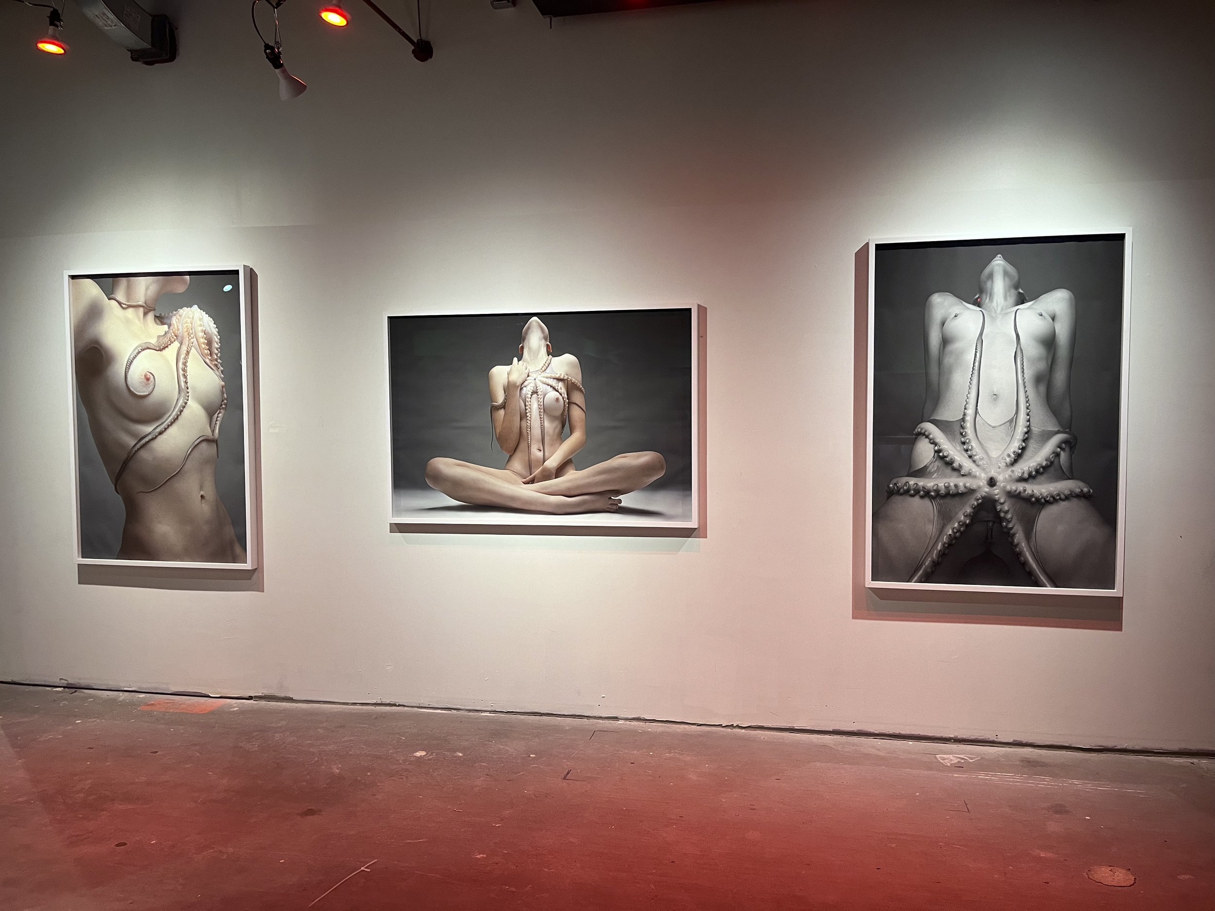 Gallery wall displaying three large photographs of nude women with octopus tentacles intertwined with their bodies, in black and white and color.