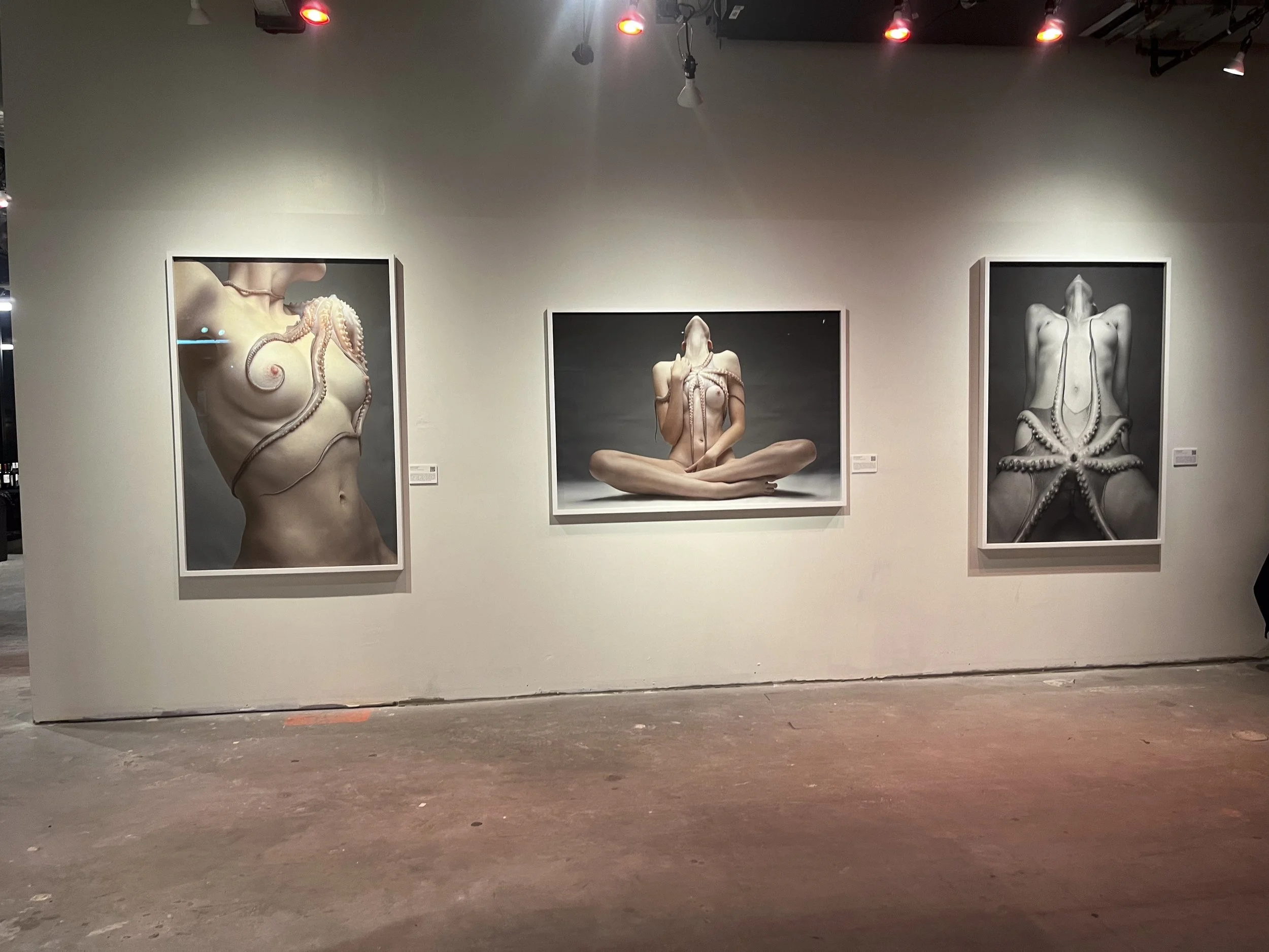 An art gallery wall features three modern artworks combining human bodies and octopus tentacles. The left painting depicts a woman's torso with an octopus curling around her chest. The middle artwork shows a woman seated cross-legged with tentacles a