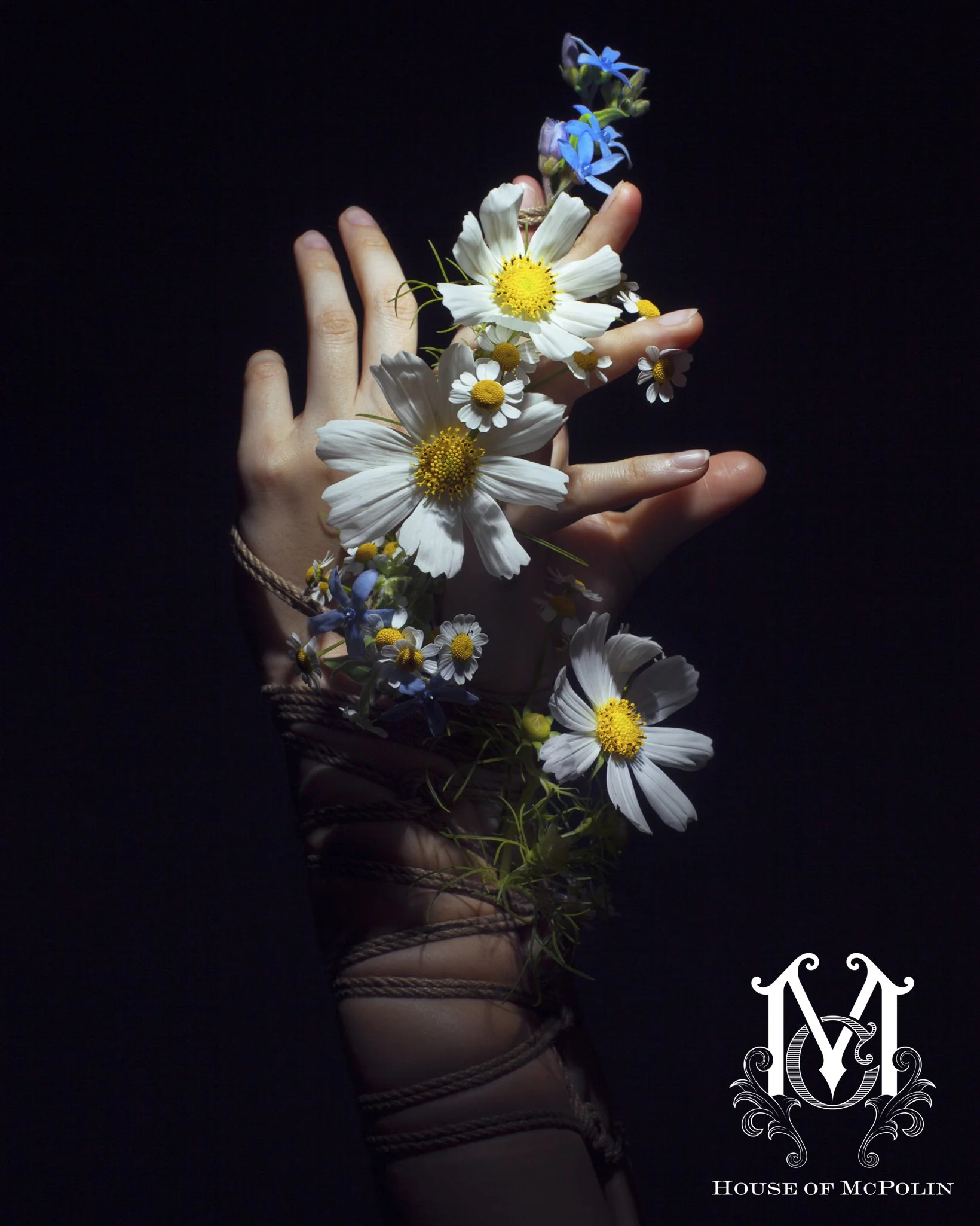 A Tender Dissolution_Paul kabzinski_BloomTribe_haylee cee_aaron mcpolin12.JPG