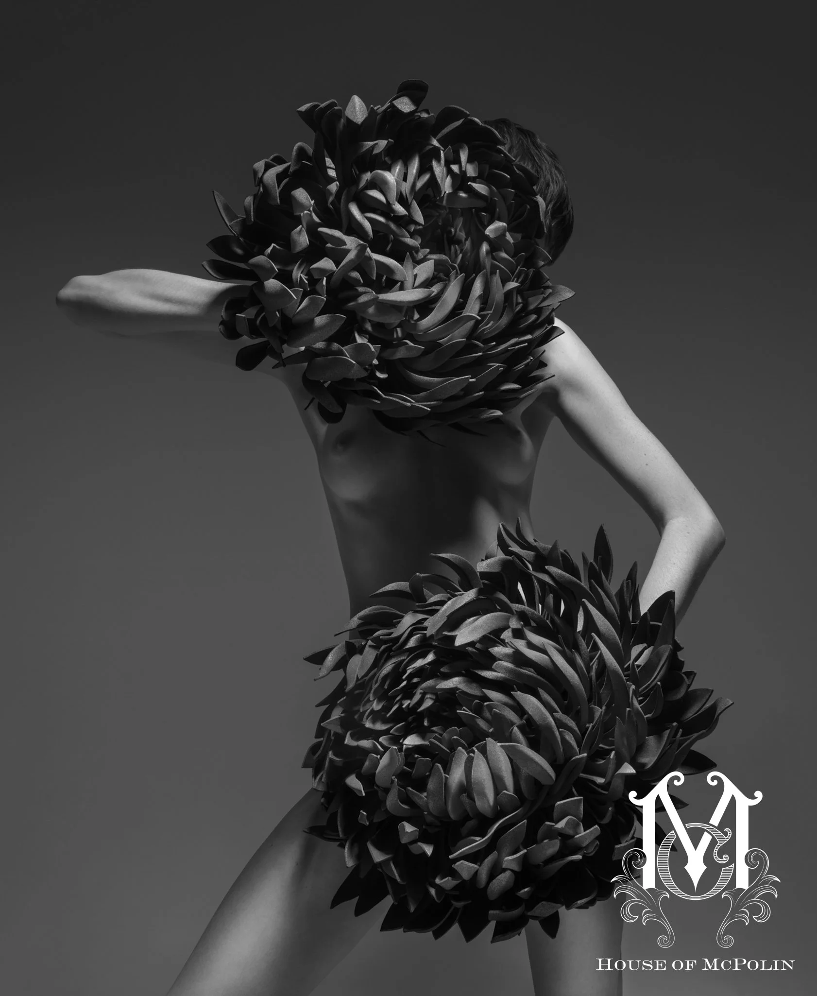 Bloom_Aaron McPolin42.JPG