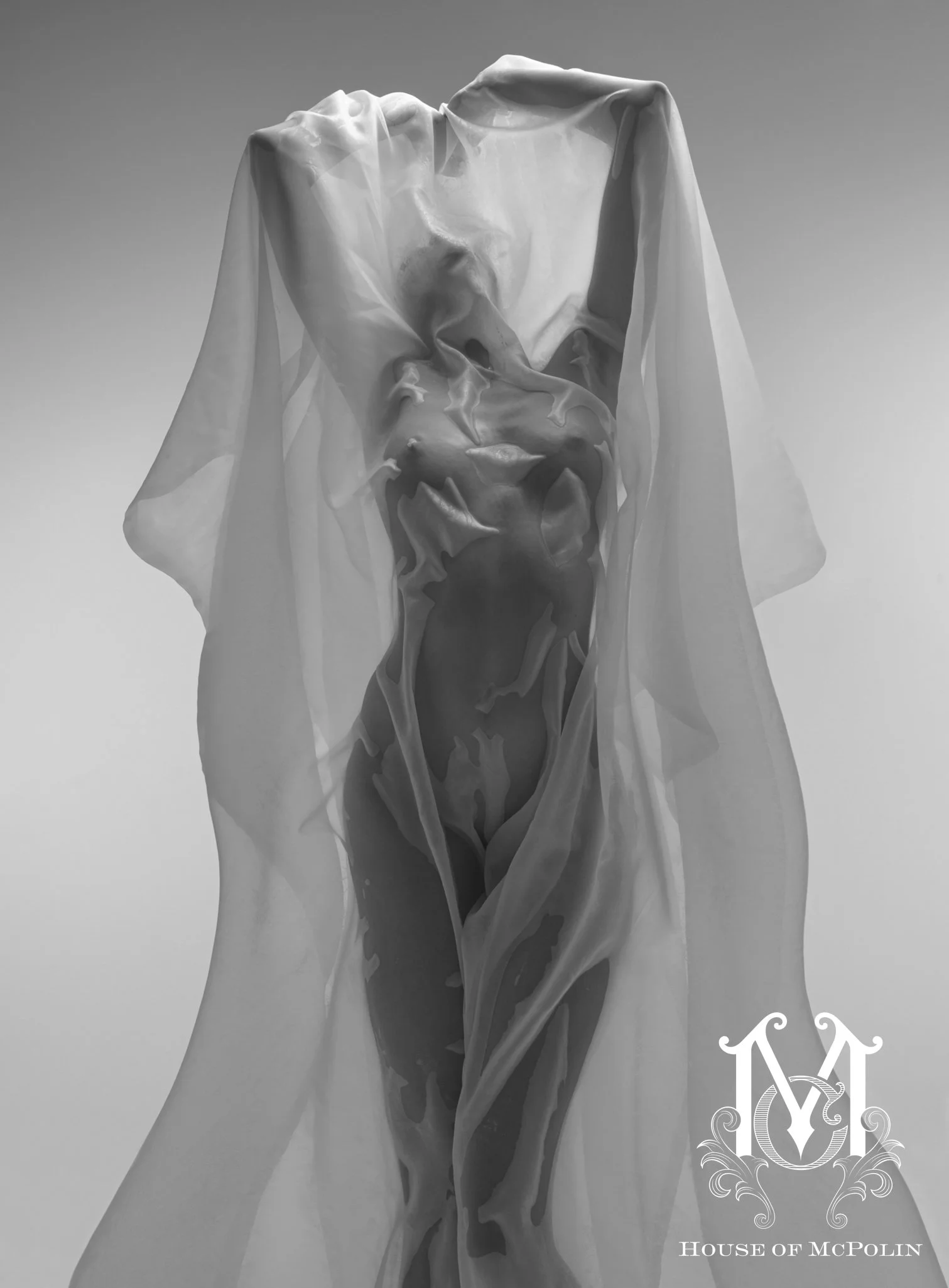 Treasure The Erotic Aaron McPolin original edits_MG_0384bw.JPG