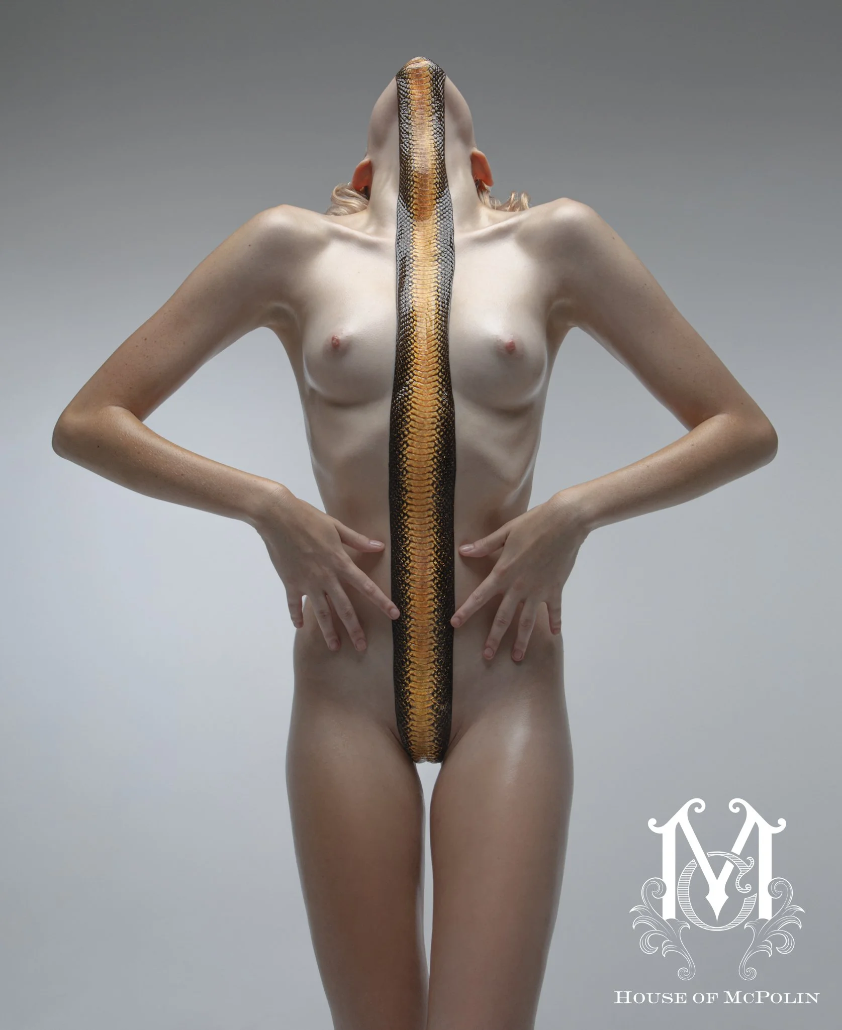 Treasure The Erotic Aaron McPolin original edits_MG_4122.JPG