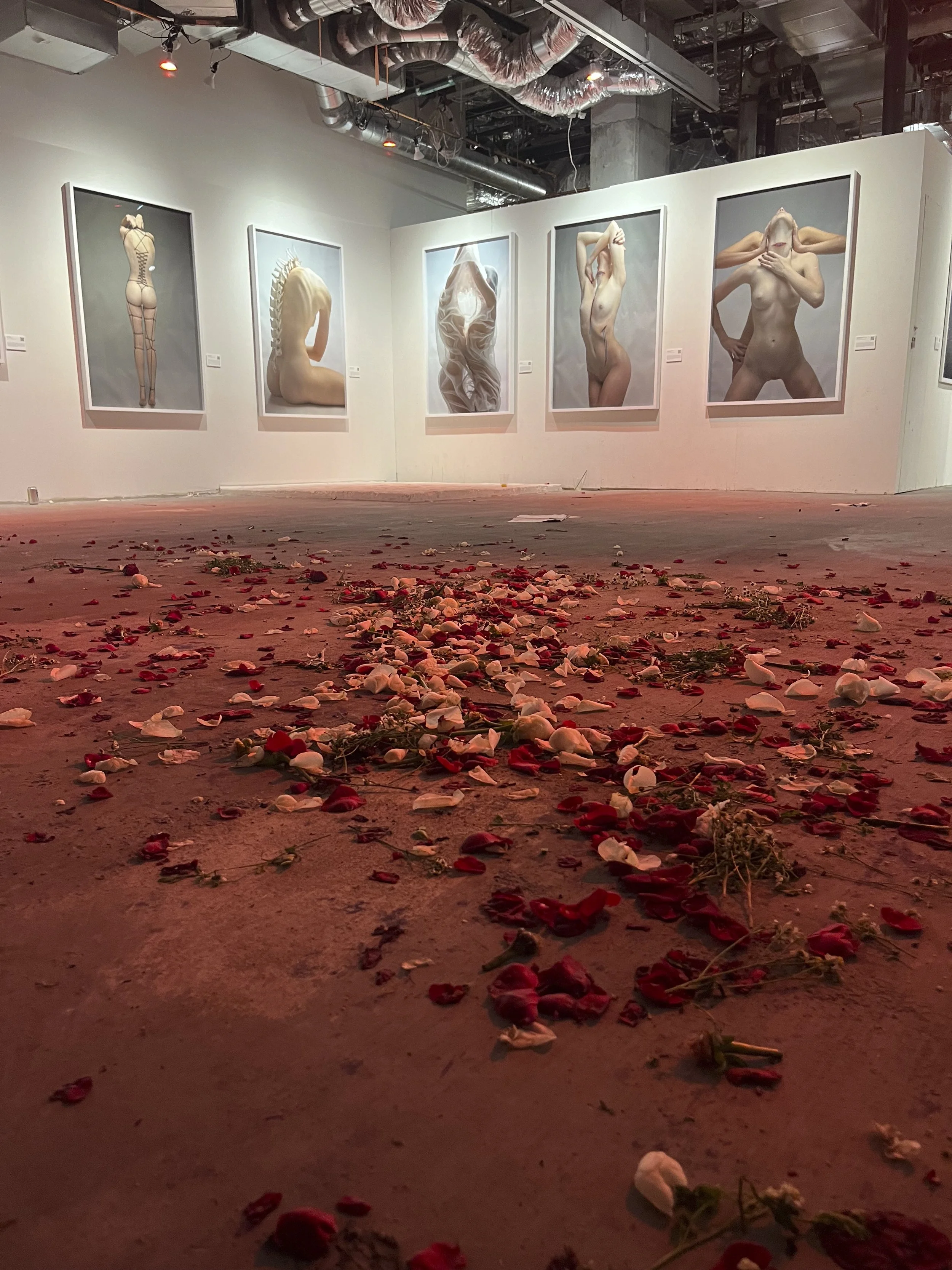 An art gallery with five large paintings of abstract human figures on the wall. The floor is covered with scattered rose petals and some small flowers.