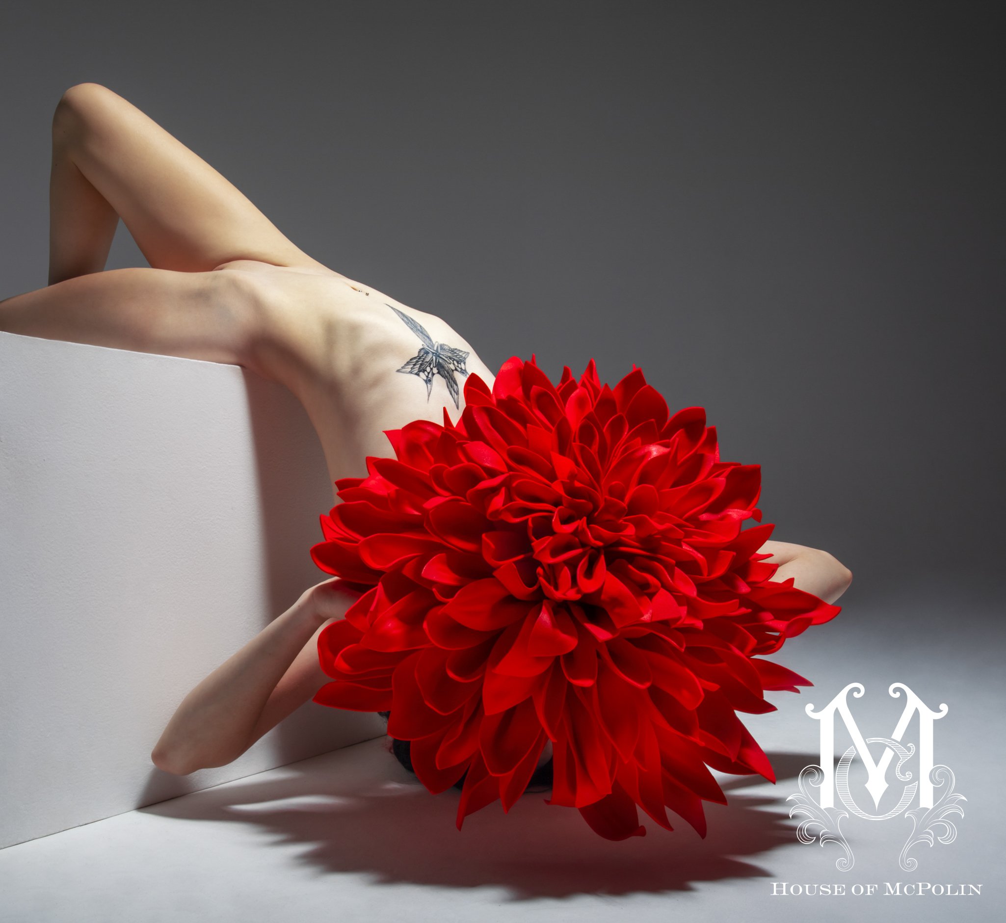 Bloom_Aaron McPolin149.JPG