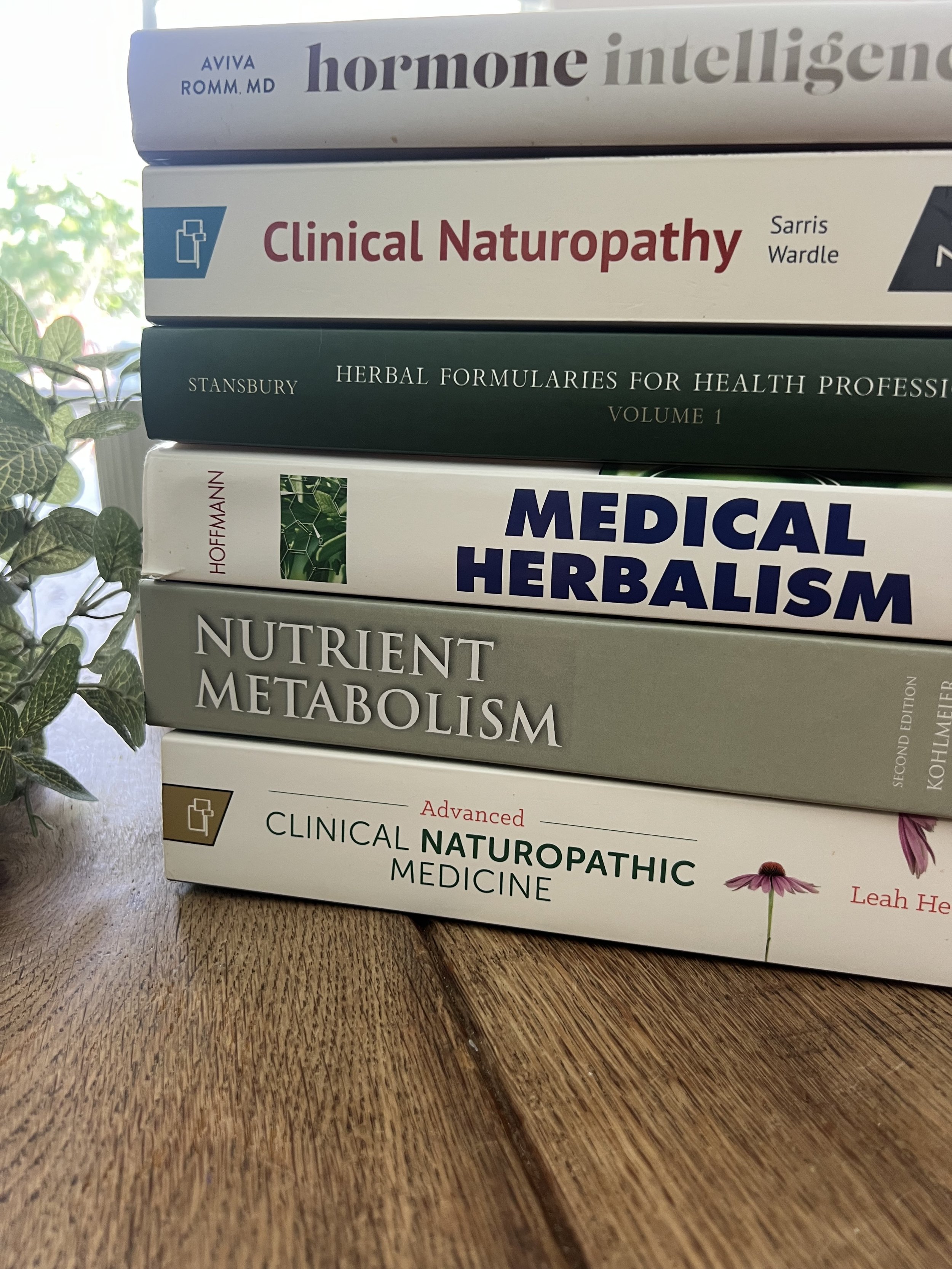 Rosemary sprigs in sunlight