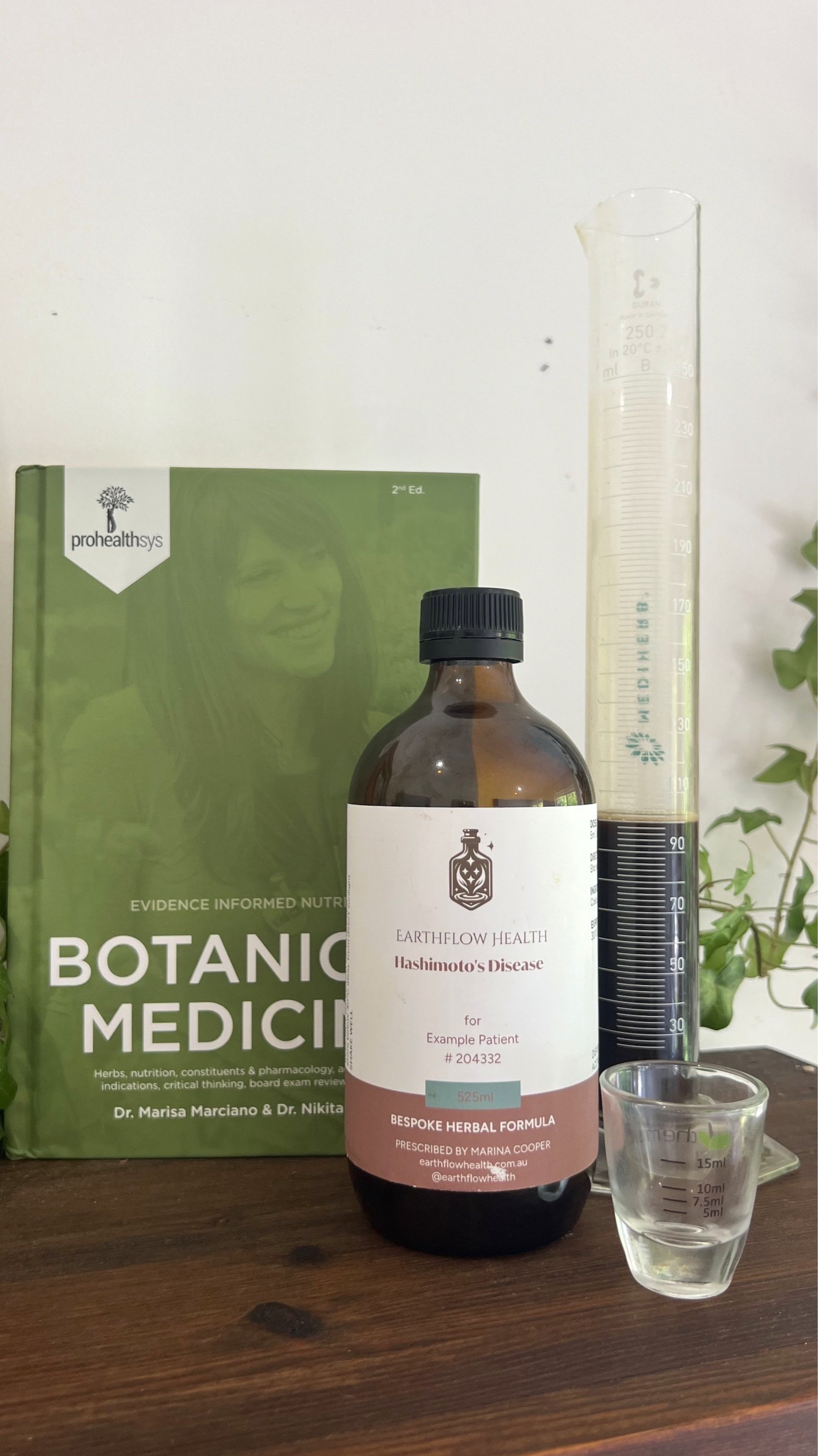 Purple bee balm flowers in the garden