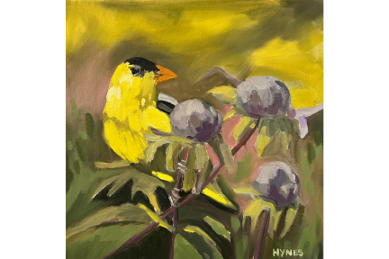 Good Luck Goldfinch