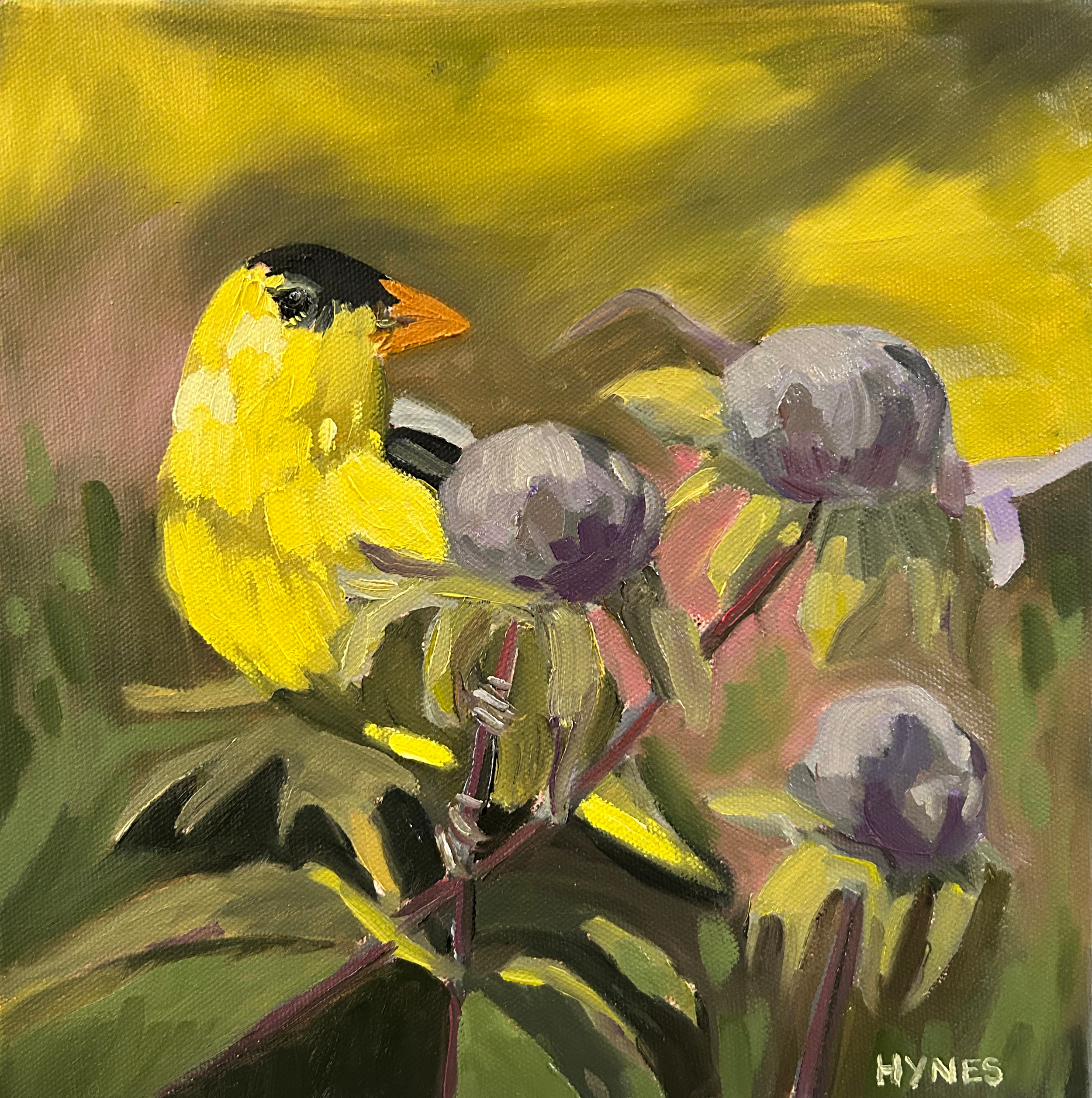 Good Luck Goldfinch.png