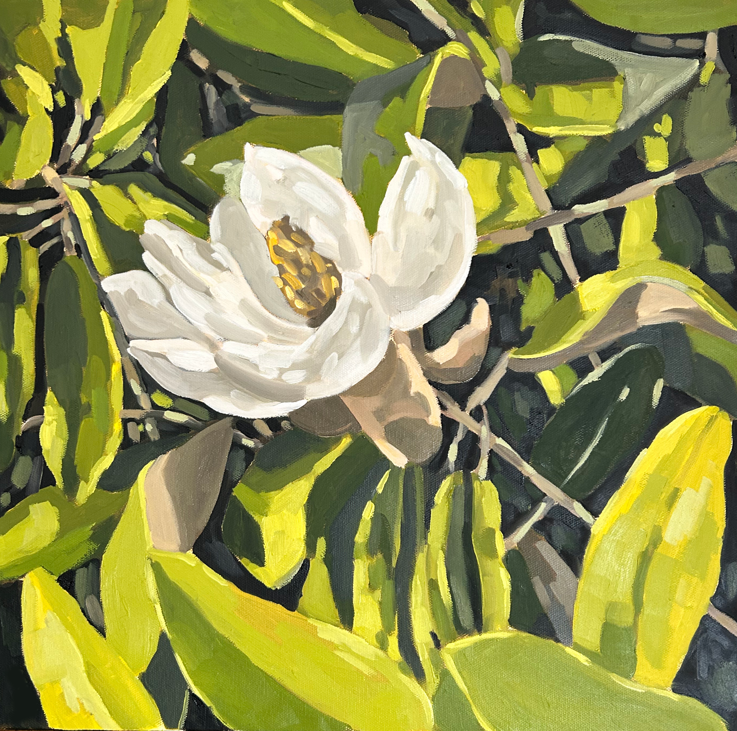 Magnolia No4.png