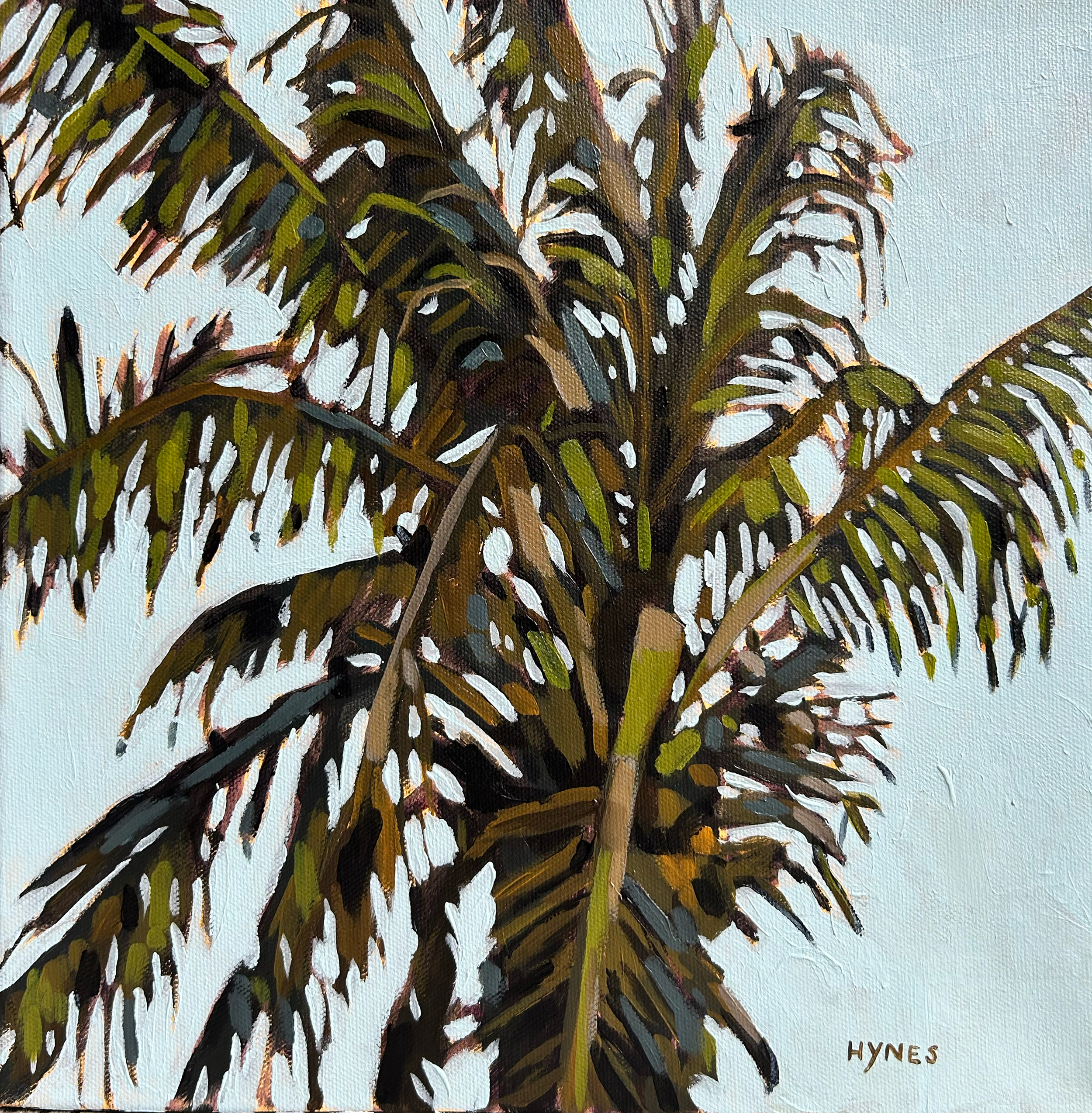 Melbourne Beach Palm.png