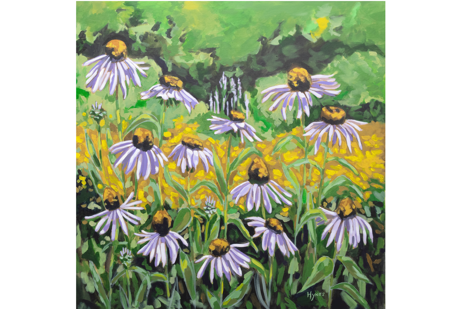 Coneflowers <br> No. 1