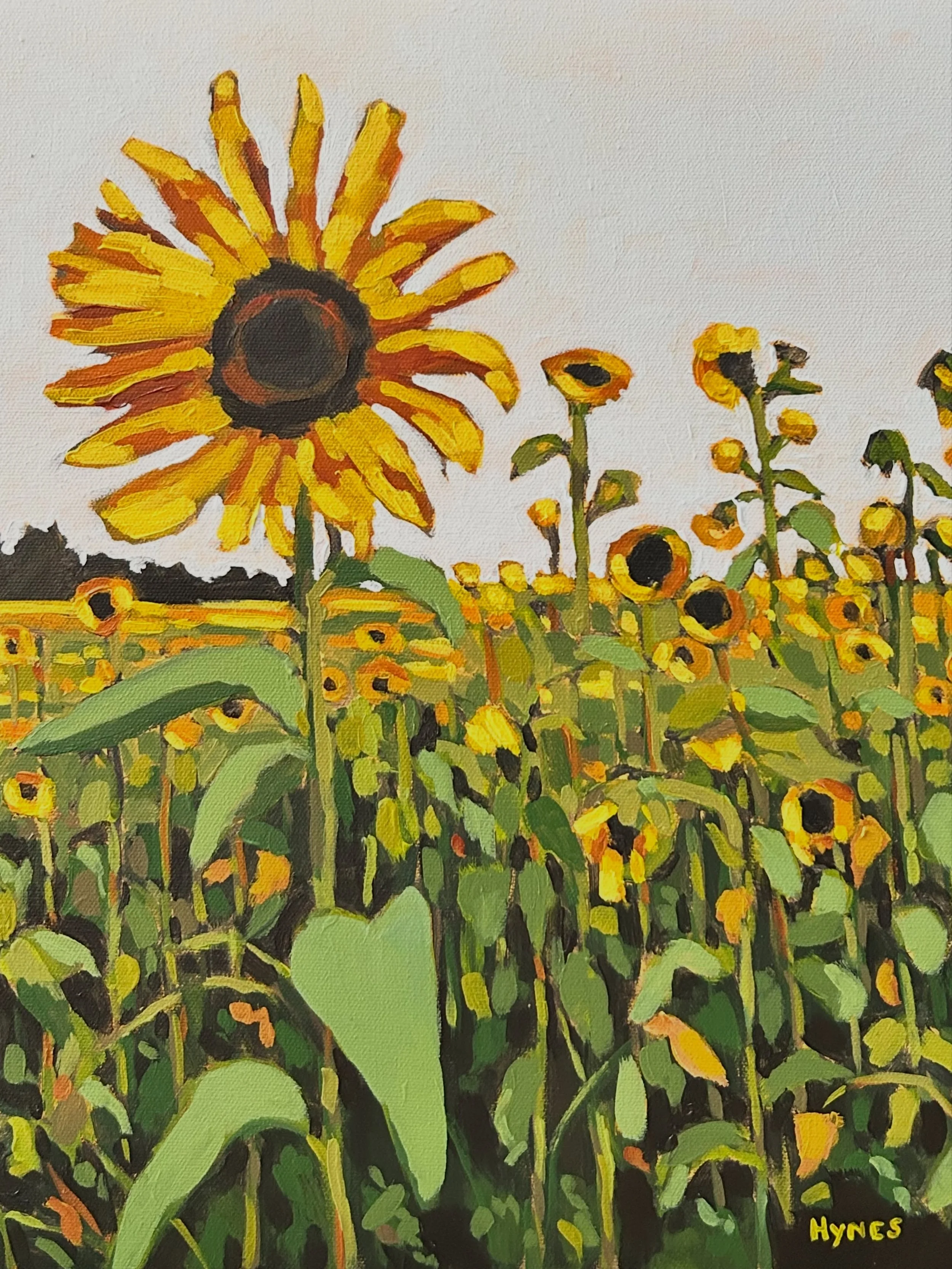 A little 16&rdquo; x 16&rdquo; Summer Sunflower and a small Hilton Head Palm 10&rdquo; x 10&rdquo; acrylic on canvas 🌻 🌴

#OriginalPainting #ArtCollector #LandscapeArtist #SunflowerPainting #EmergingArtist