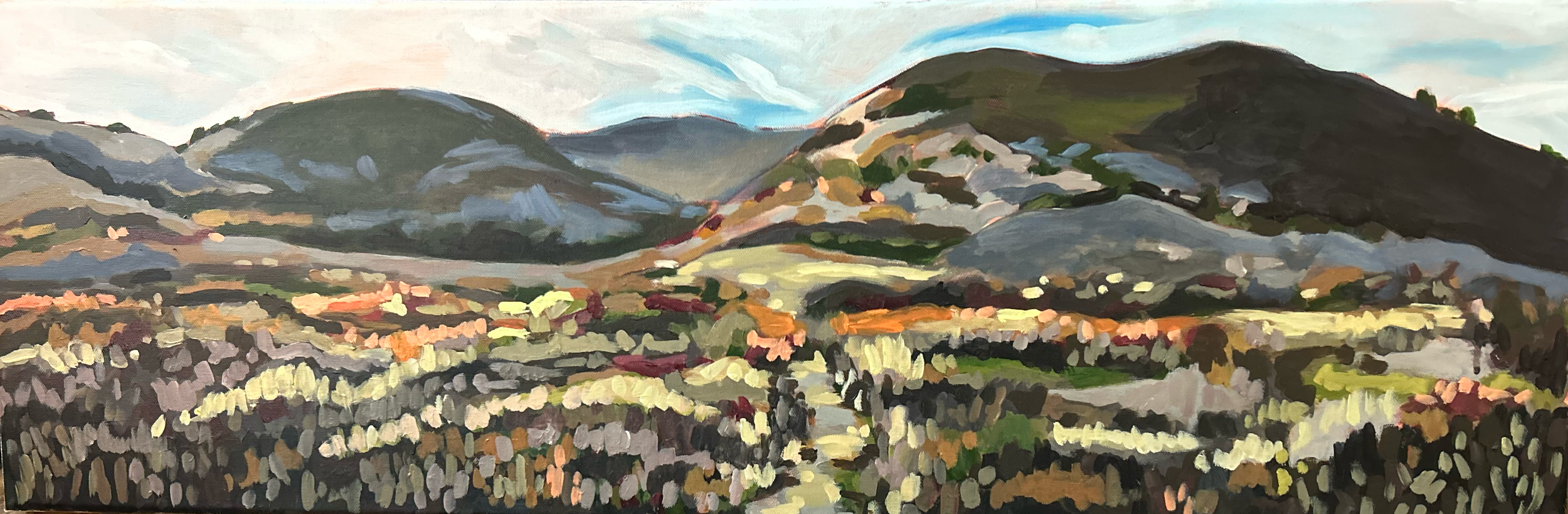 Sams Knob Trail 2.png