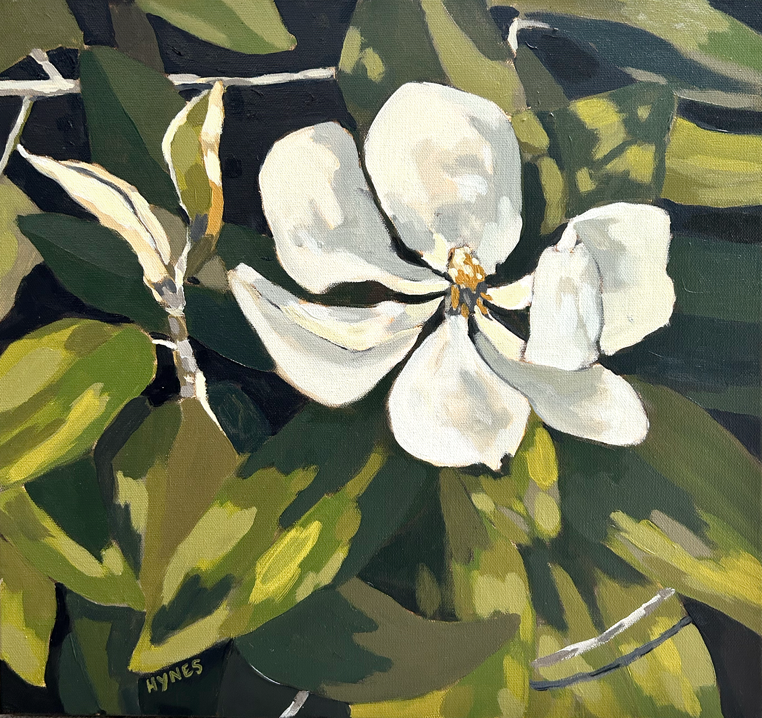 Small Spring Magnolia.png
