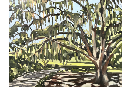 Live Oak