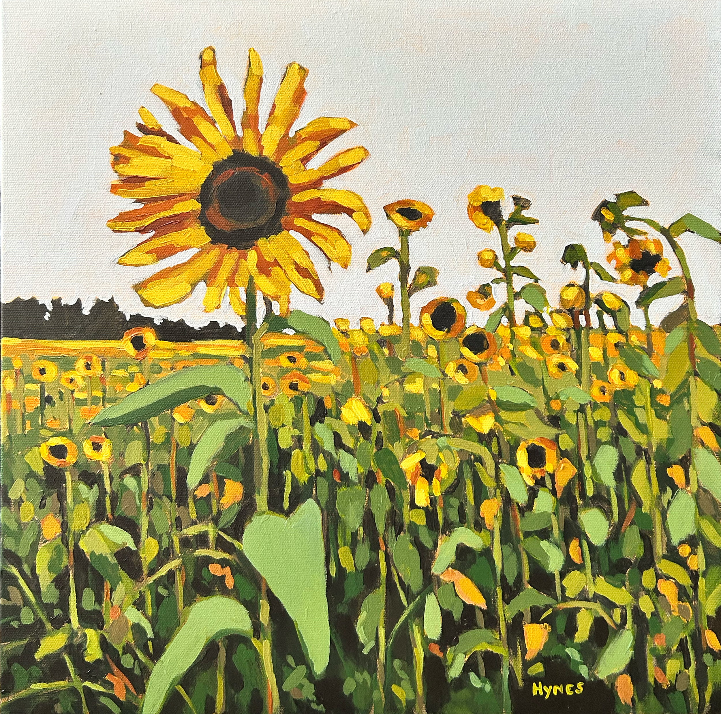 Sunflower Summer.png