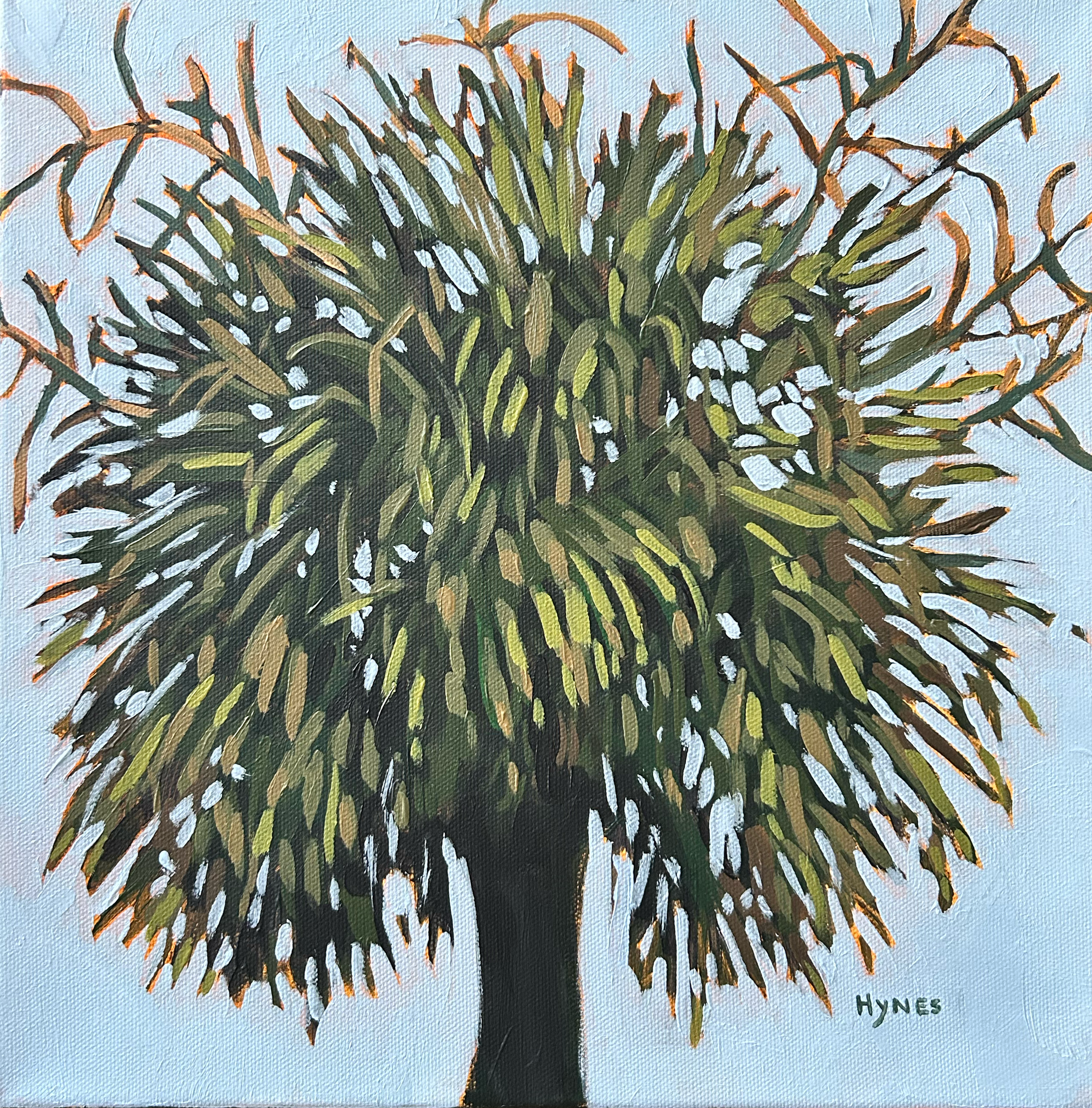 Hilton Head Palm.png