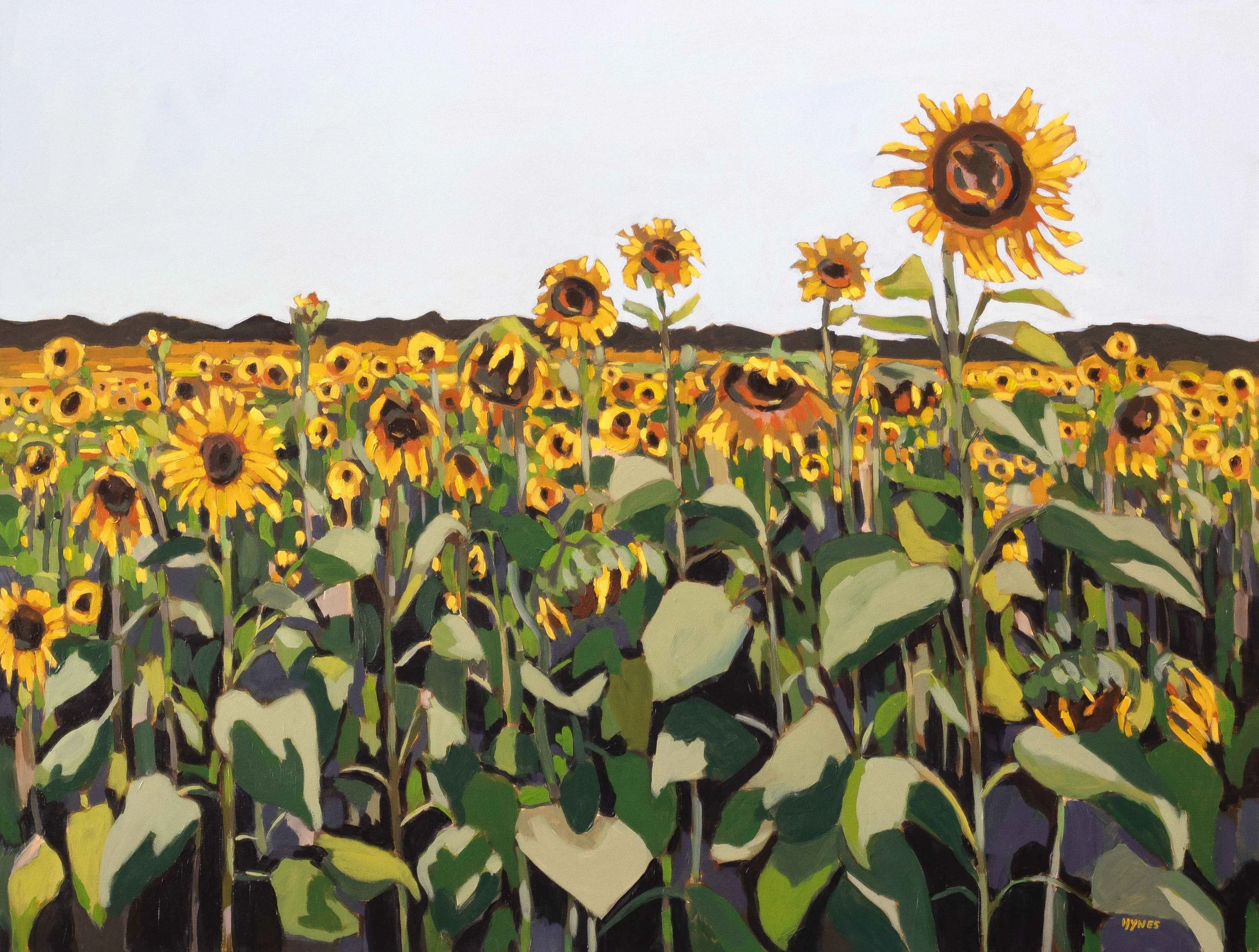 Sunny Field Low Res.jpeg