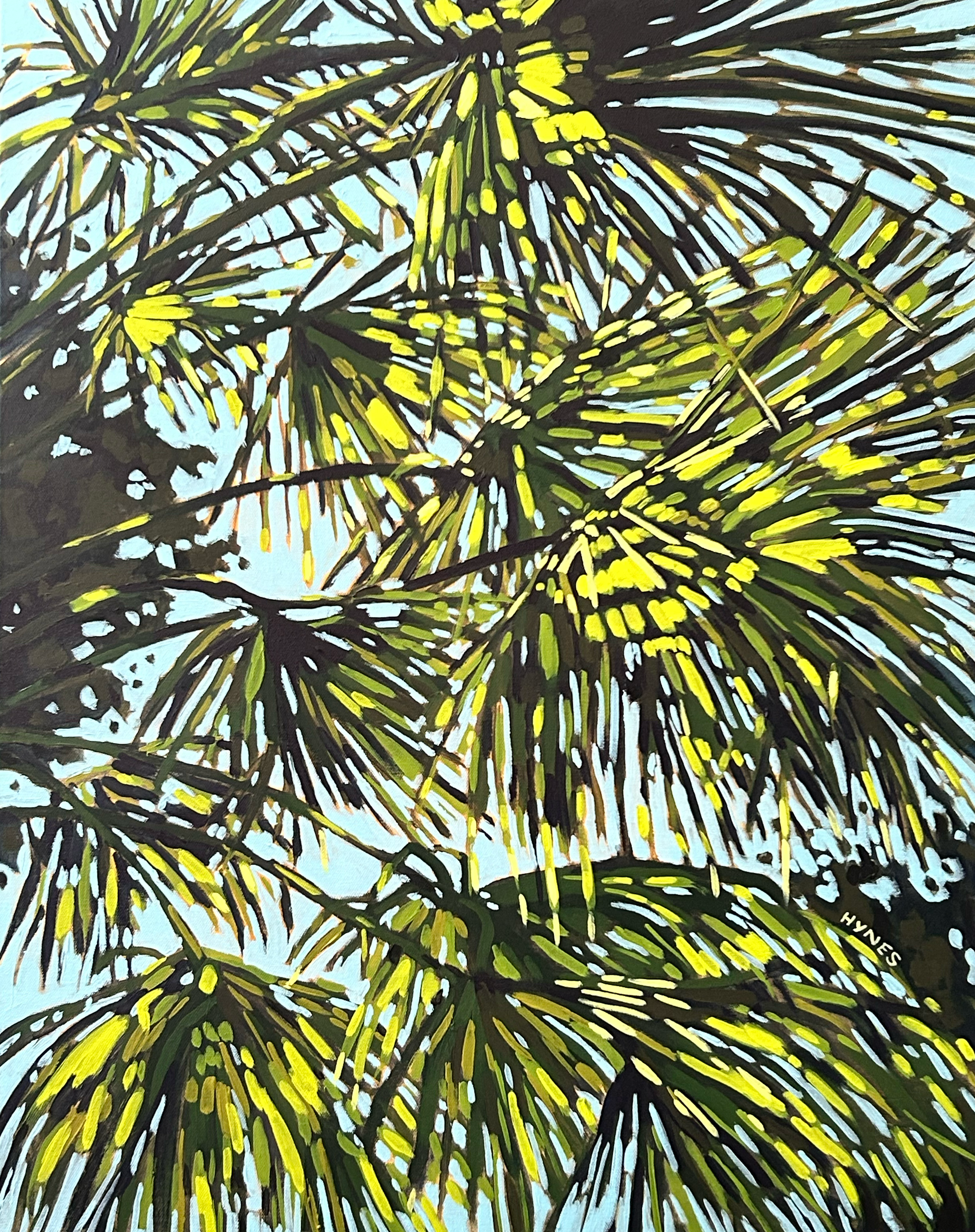 Palmlight.png