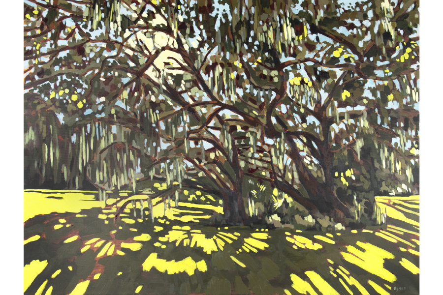 Sun through St. Simon's Oaks