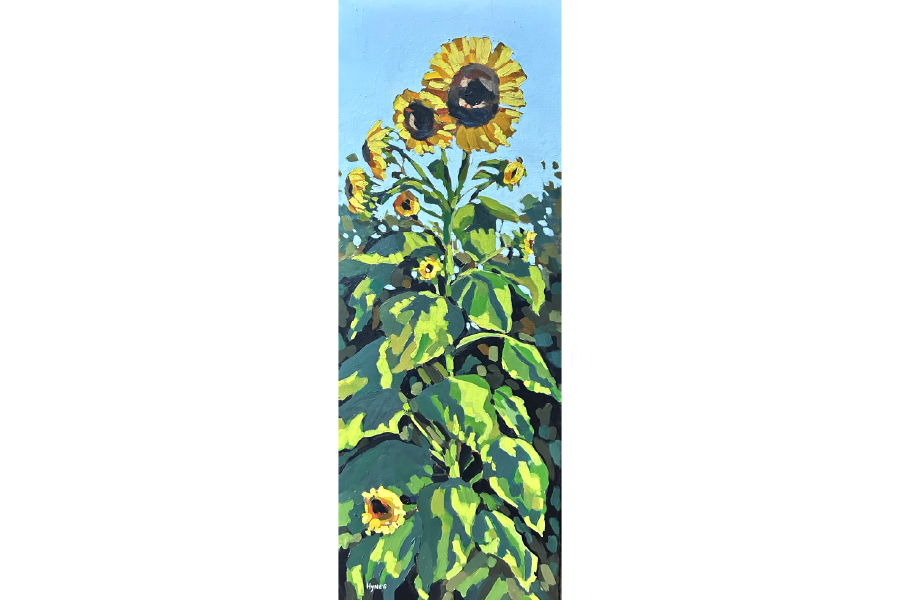 Sunflower Stiudy No 1. sized.png