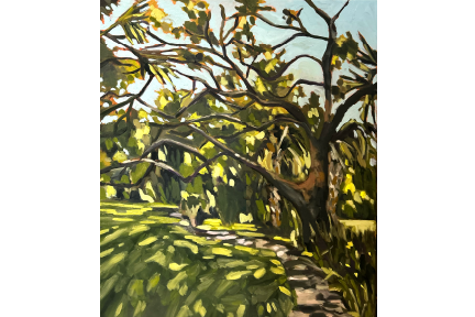 Merritt Island Oak Study