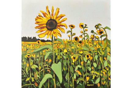 Summer Sunflowers