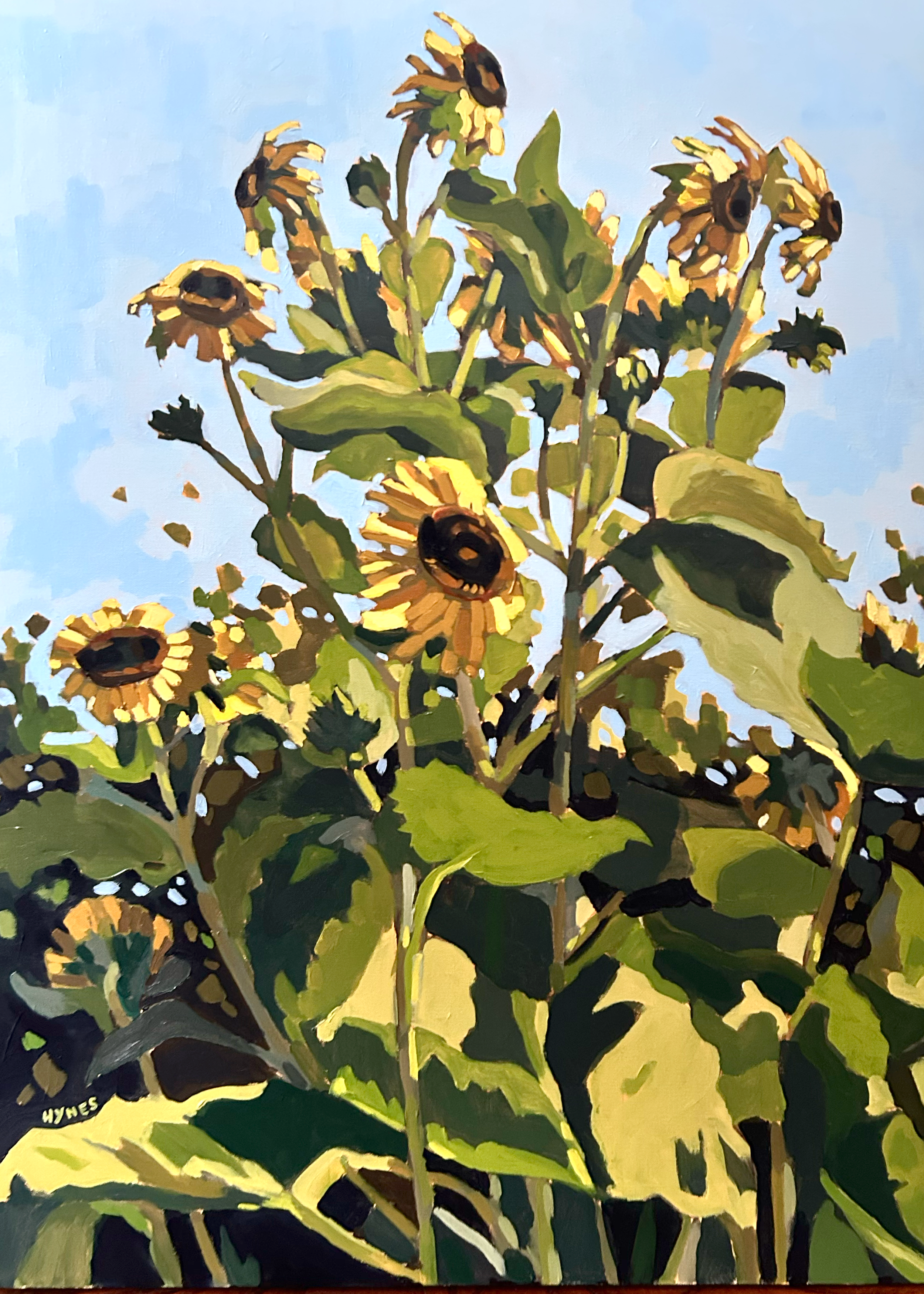 Sunflowers Large.png