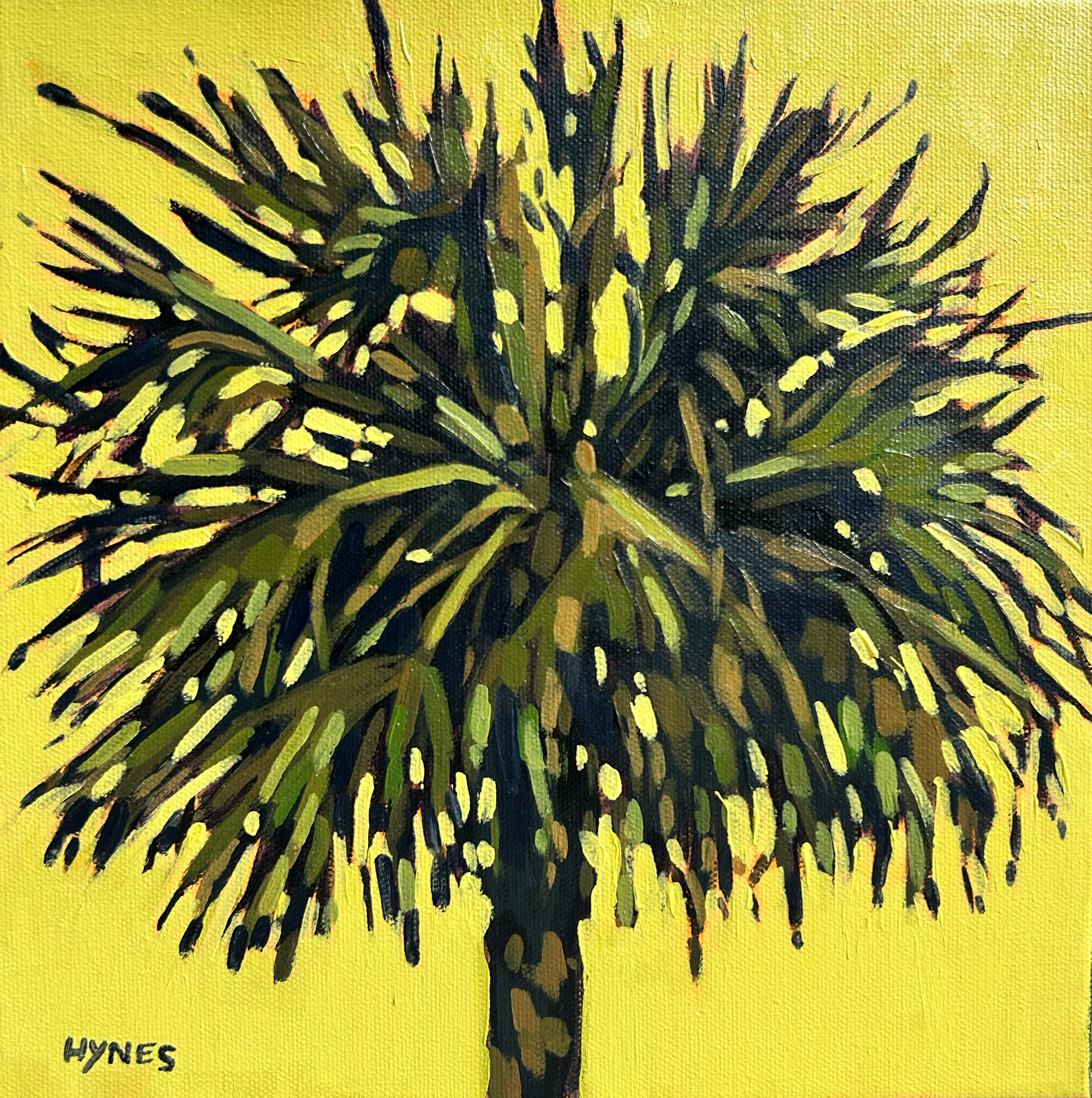 Hilton Head Palm No 2.png