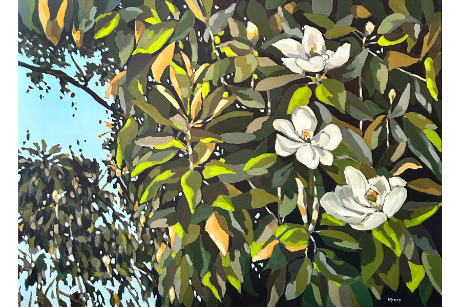 Magnolia No 3 sized.png