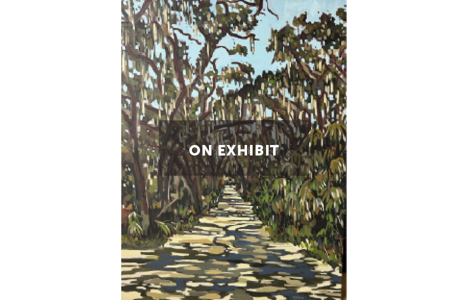 Preserve Oak Path sized ON EXHIBIT.png