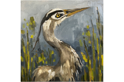 Heron sized.png