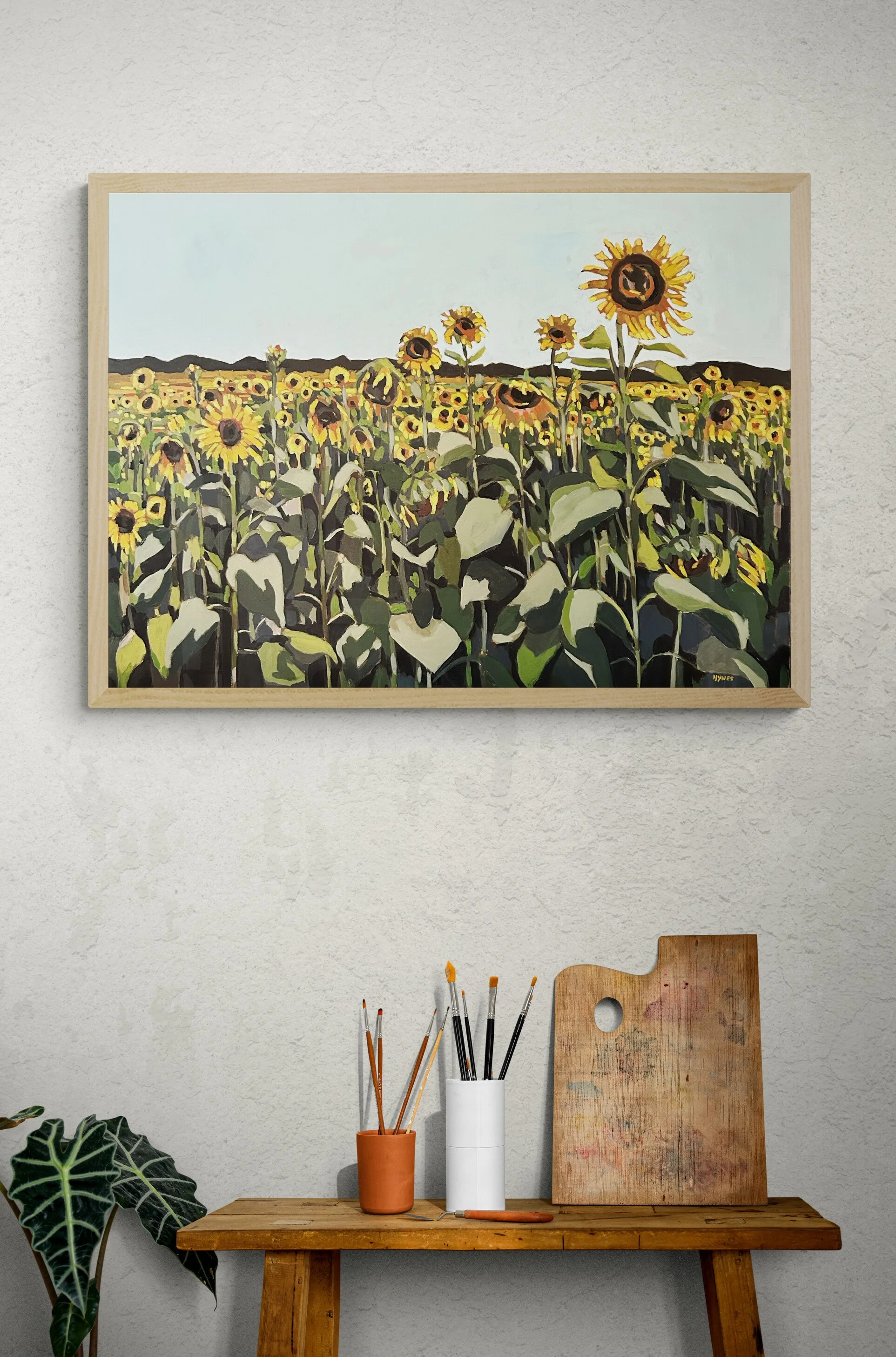 Sunny Field 2.jpeg