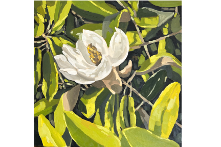 Magnolia No.4