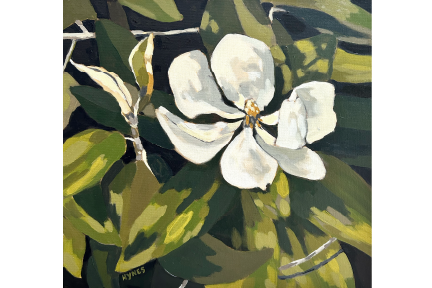 Spring Magnolia