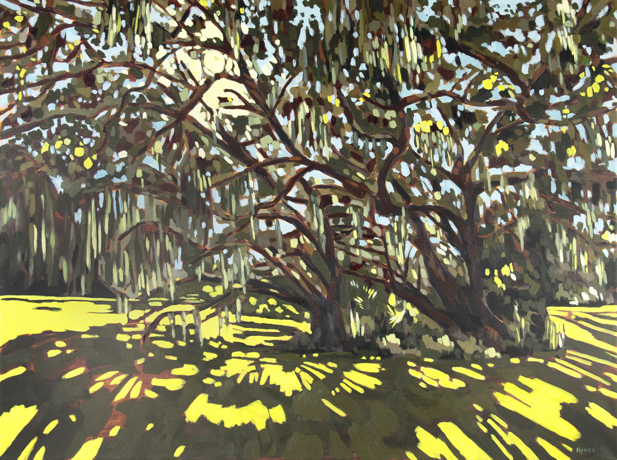 SunThroughStSimonsOaks low.png