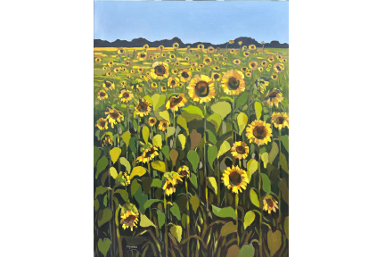 September Sunflowers