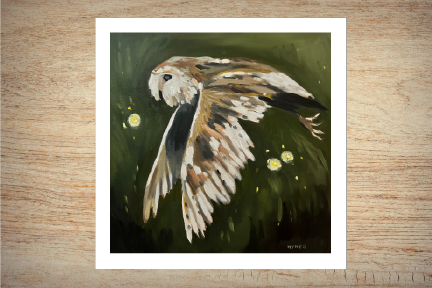 Backyard Barn Owl & Fireflies