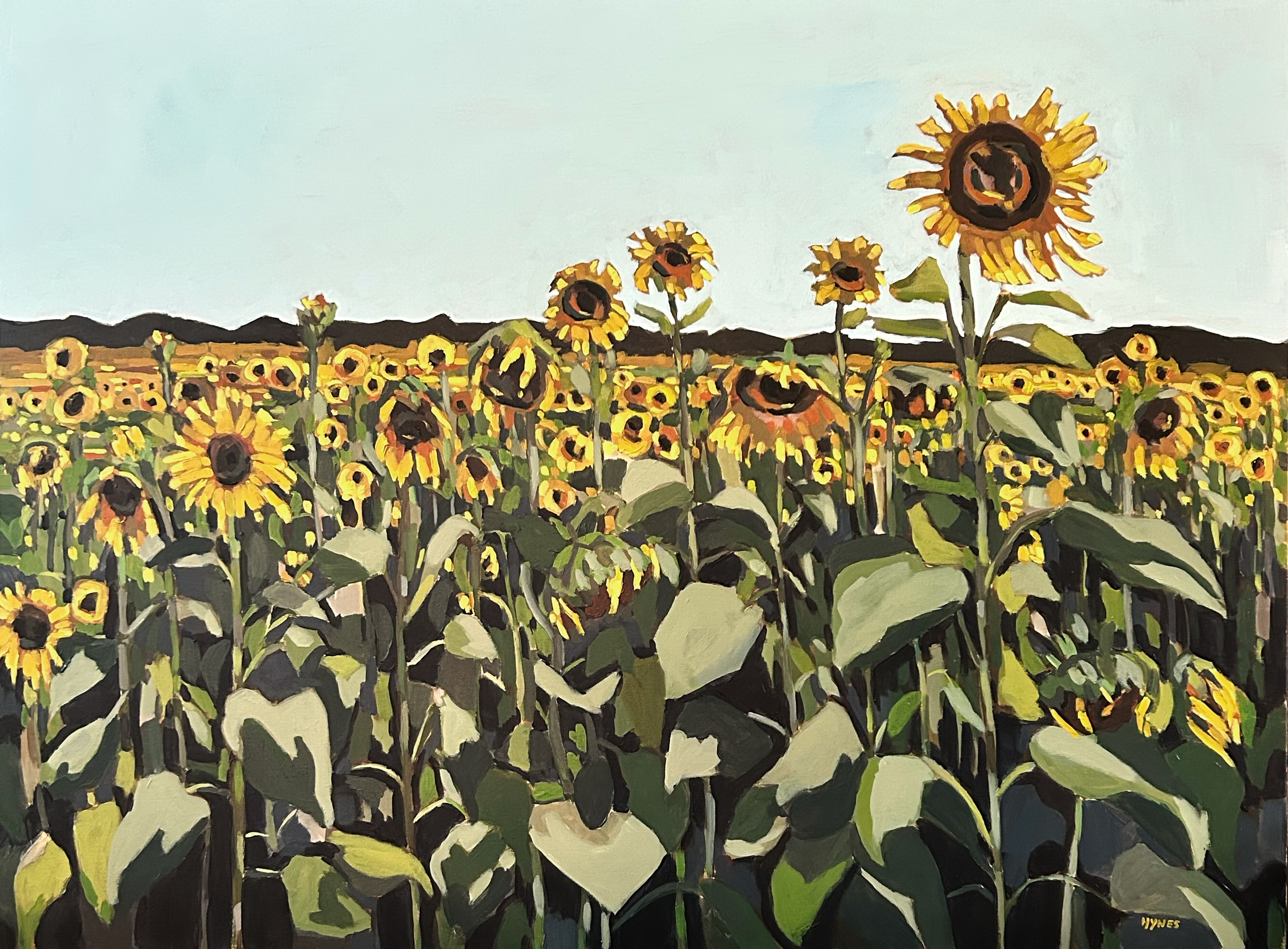 Sunny Field.png