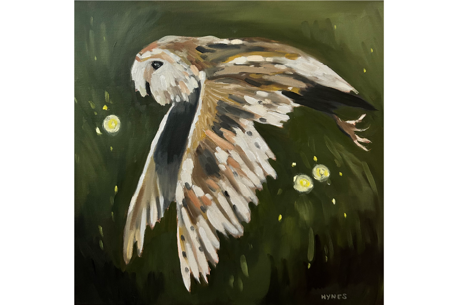 Barn Owl Fireflies sized.png