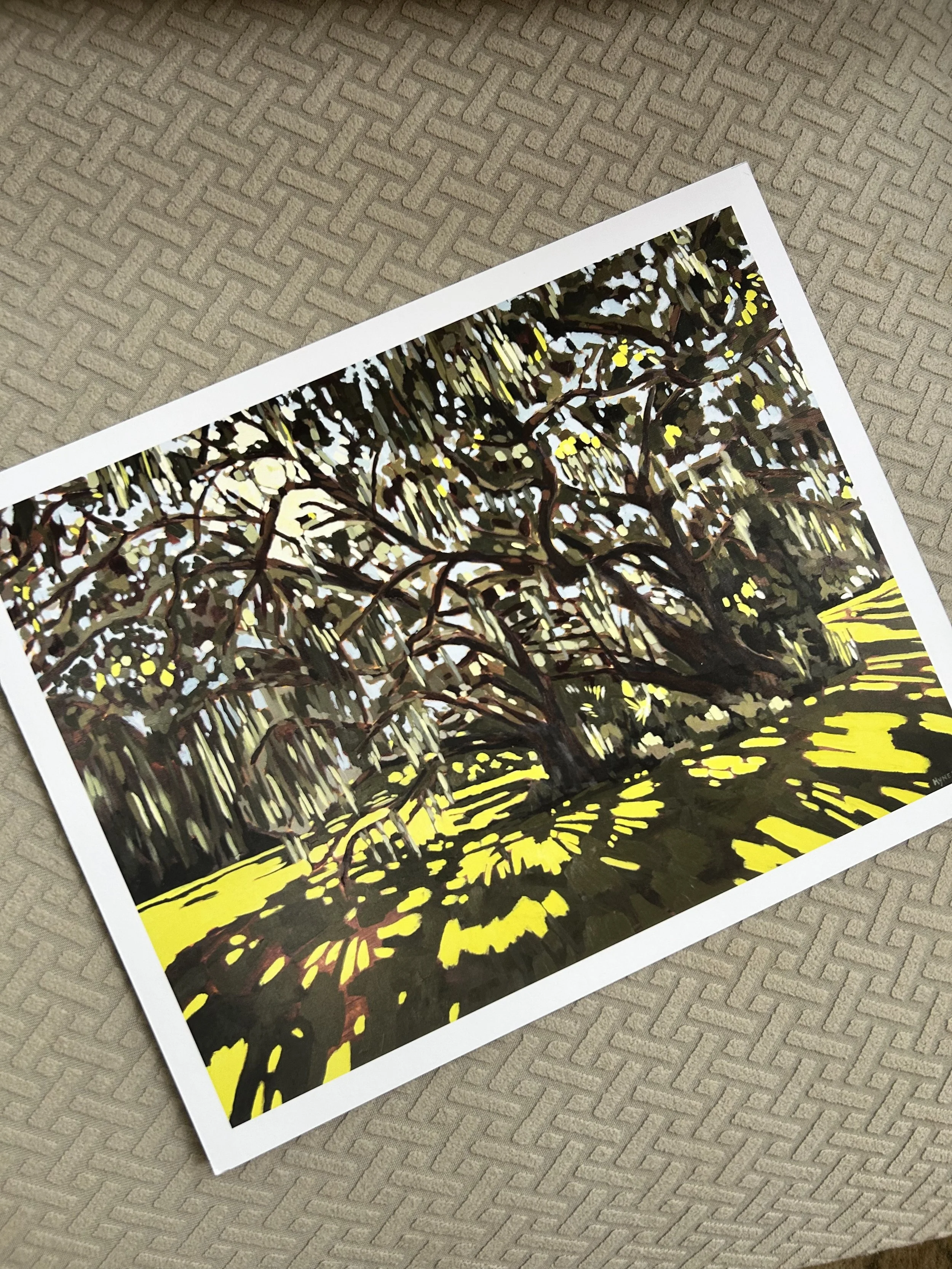 Sun Thru St Simons Print Border.jpeg