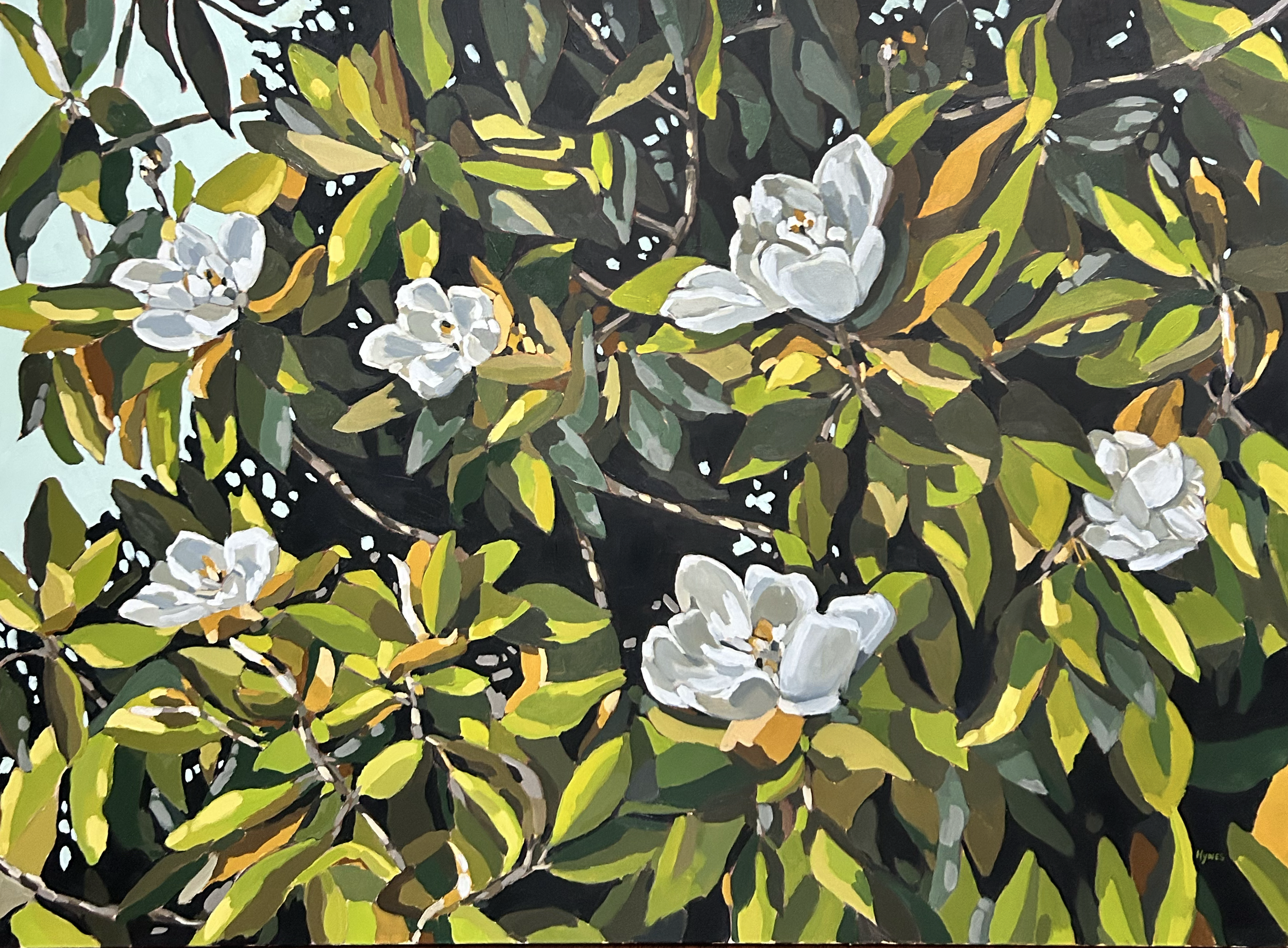 Magnolia 2.png