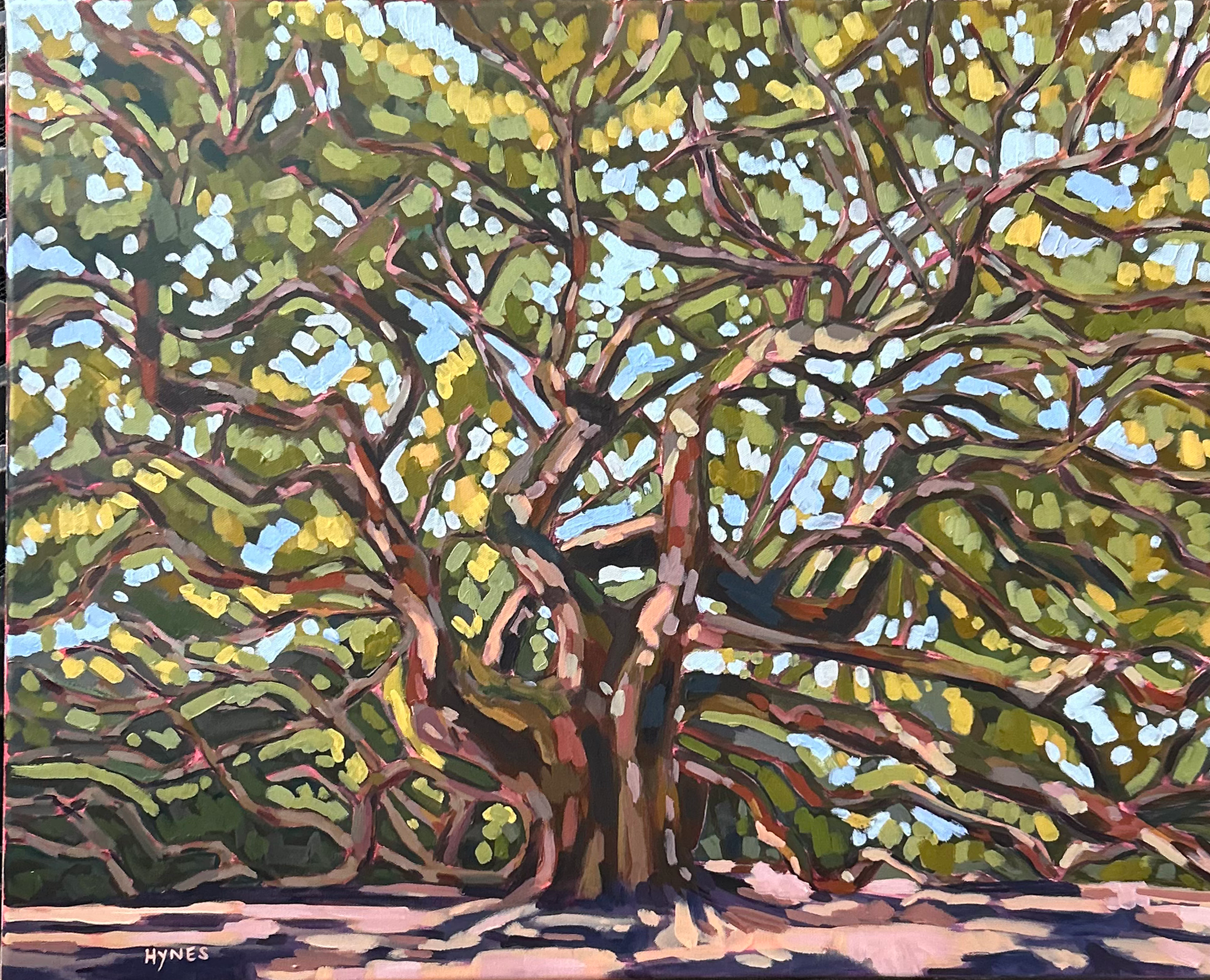 Angel Oak.png