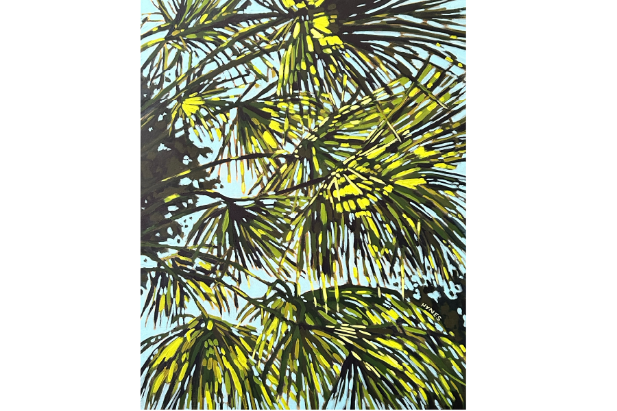 Palmlight sized.png