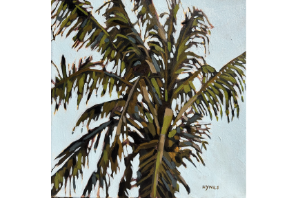 Melbourne Beach Palm sized.png