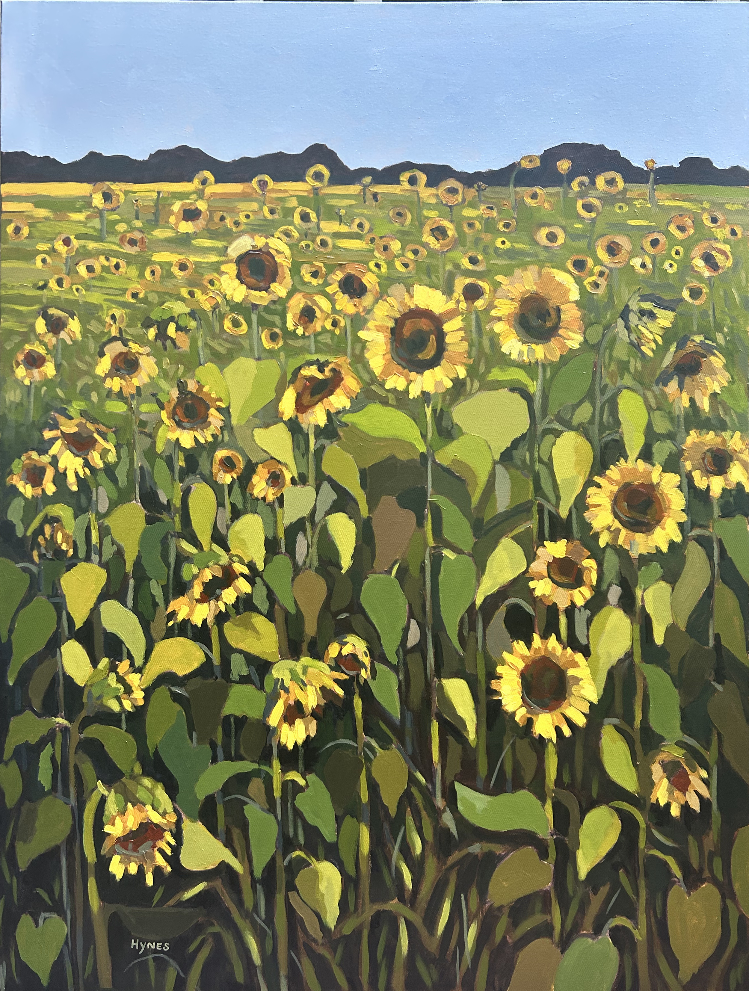 September Sunflowers.png