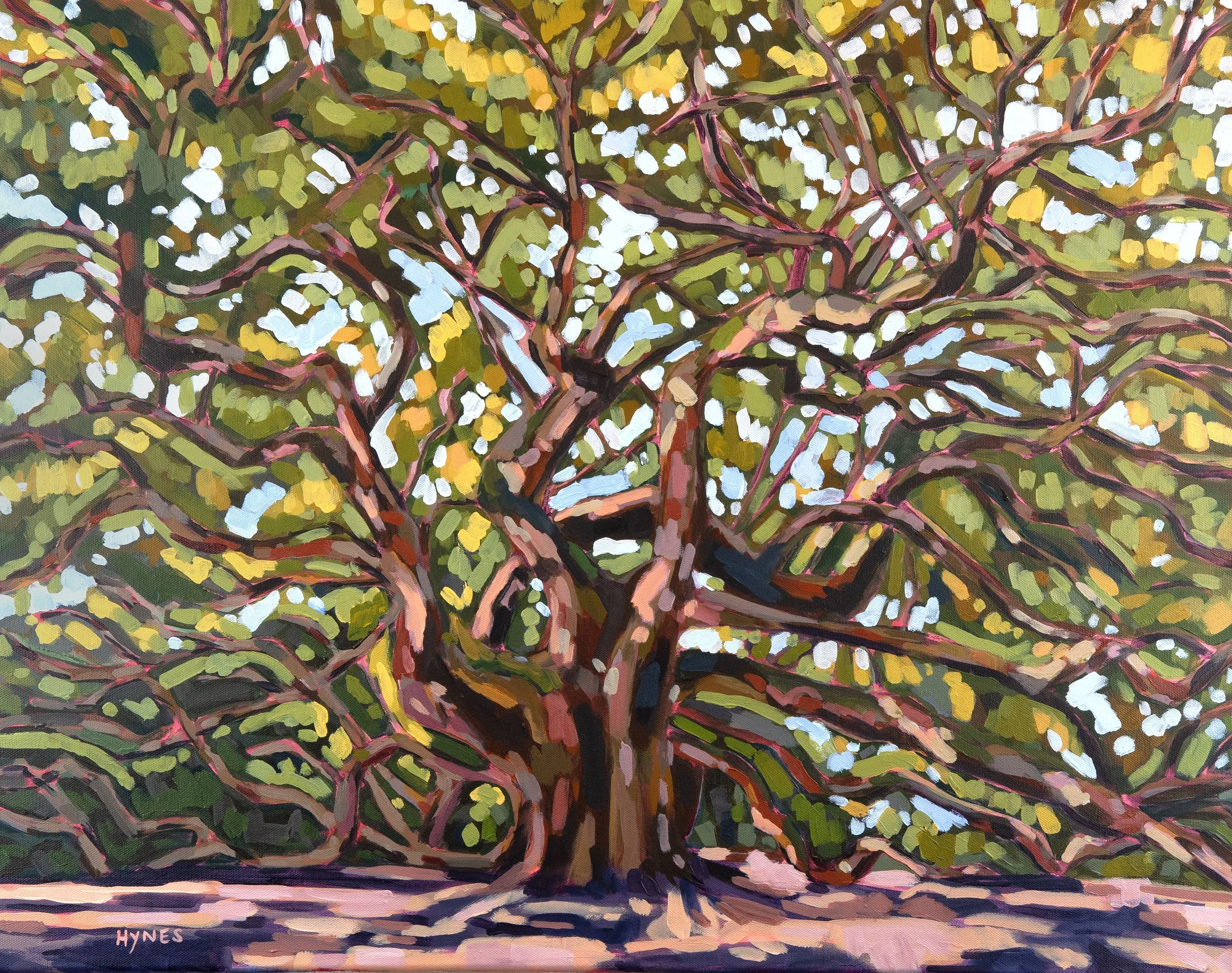 Charleston Angel Oak