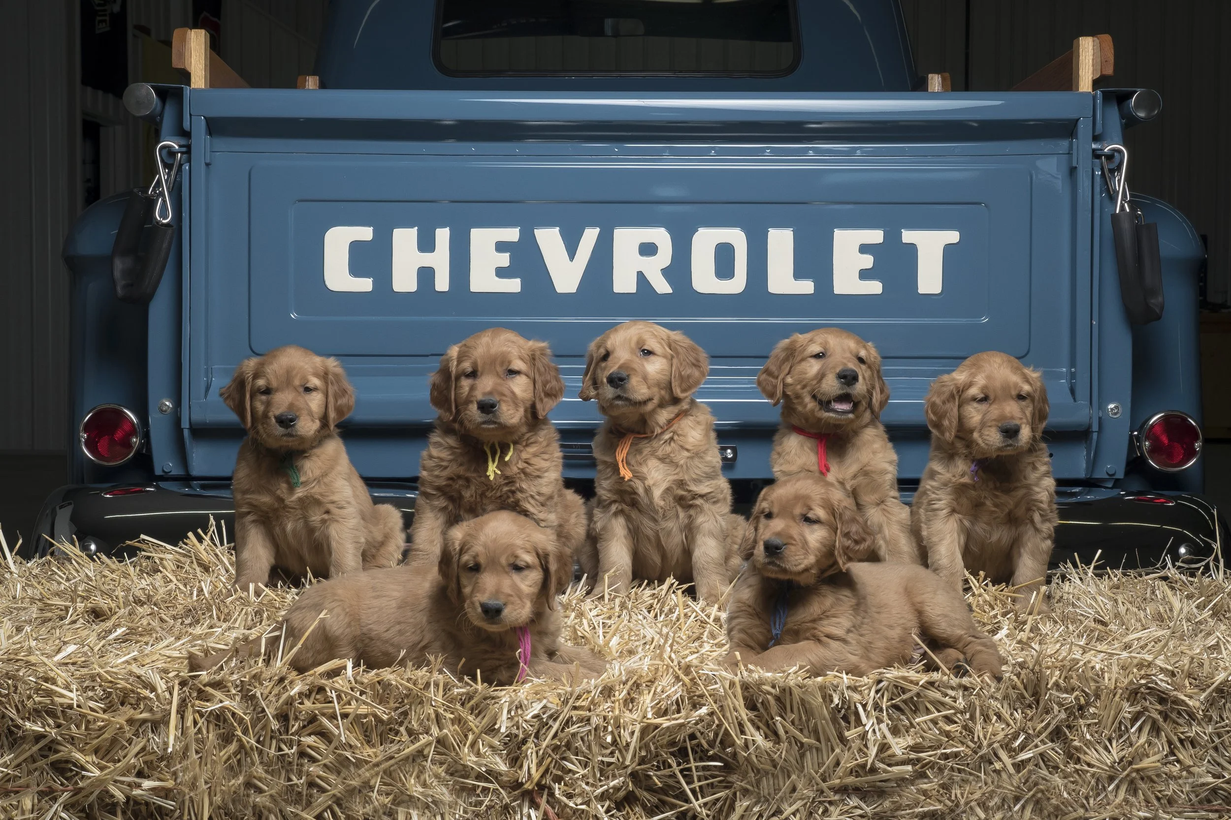 Lacey.Truck.1.jpg